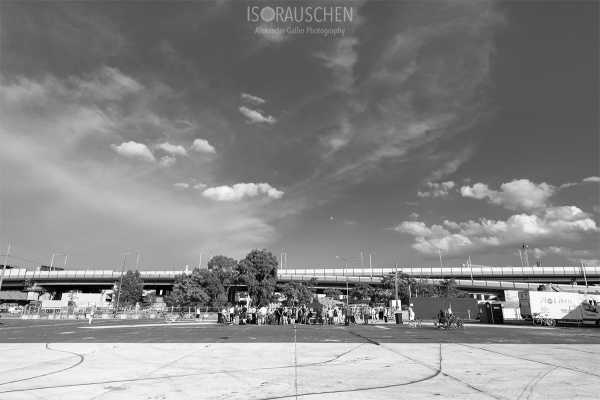 Donauwellenreiter Bild von Donauwellenreiter