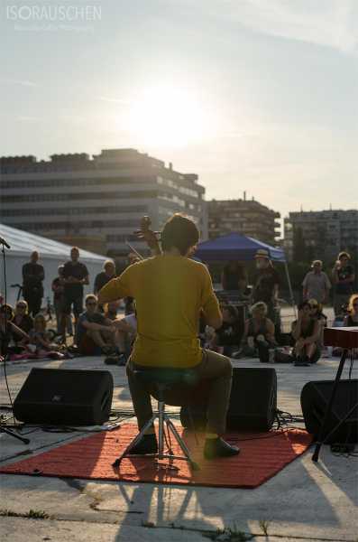 Donauwellenreiter Bild von Donauwellenreiter