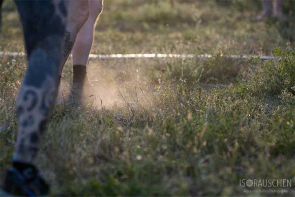 Fuckhead Bild von Fuckhead