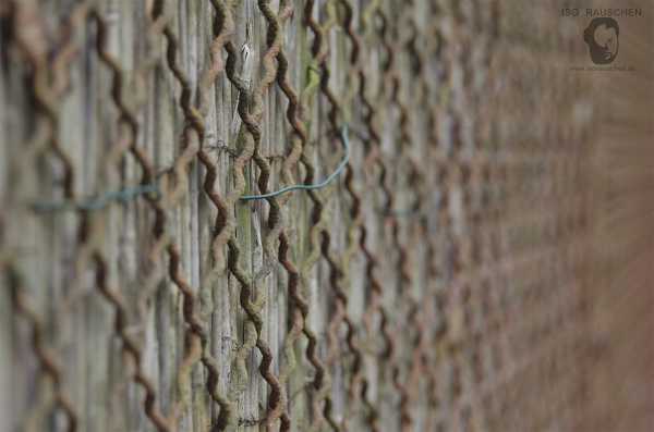 Helios 44-2 Bild von Helios 44-2