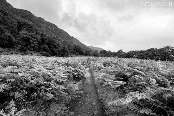 West Highland Way 2017 Bild von West Highland Way 2017