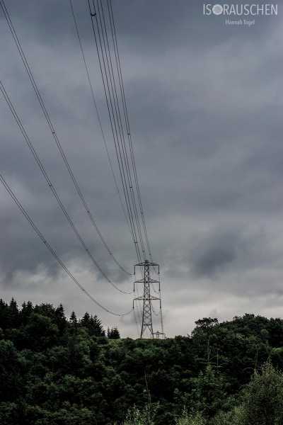 West Highland Way 2017 Bild von West Highland Way 2017