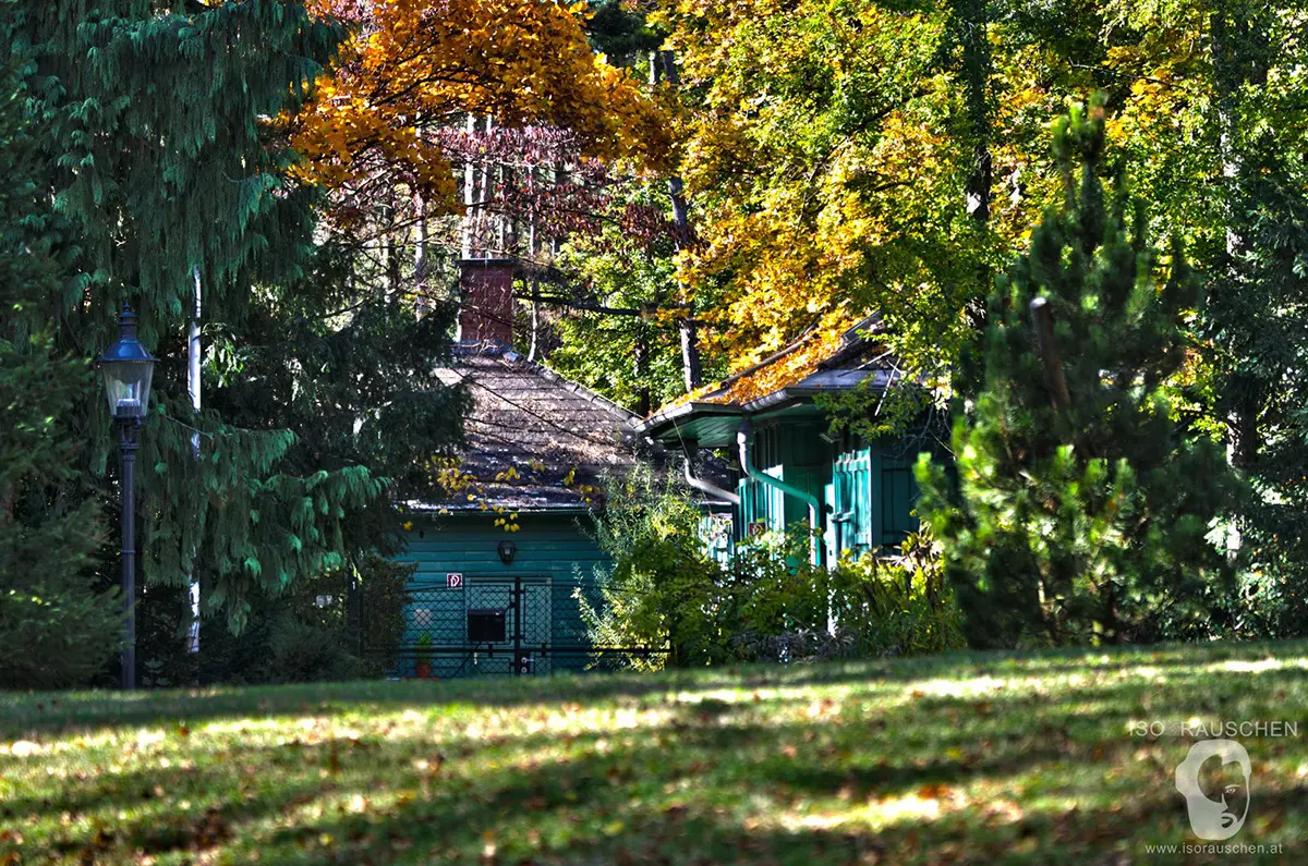 Herbst im Türkenschanzpark Bild, Herbst im Türkenschanzpark