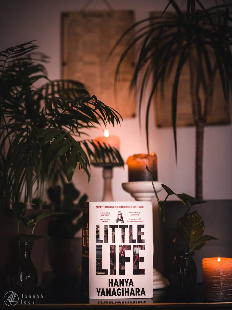 Bild, A Little Life
