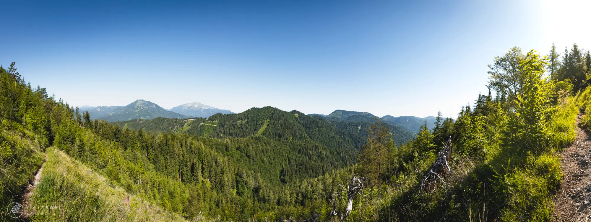 Bild, Bürgeralpe