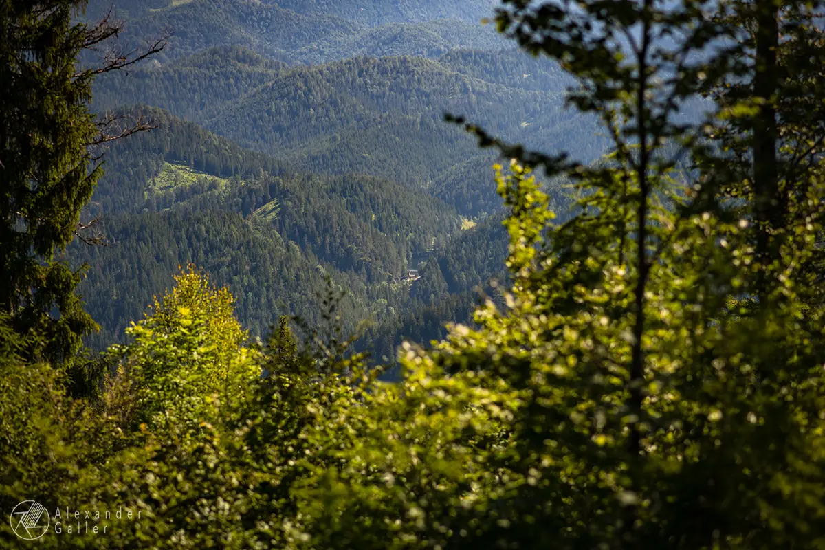 Bild, Hubertussee