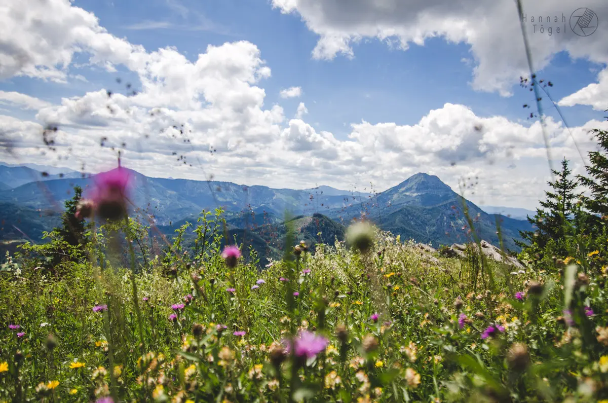 Bild, Hochstadlberg