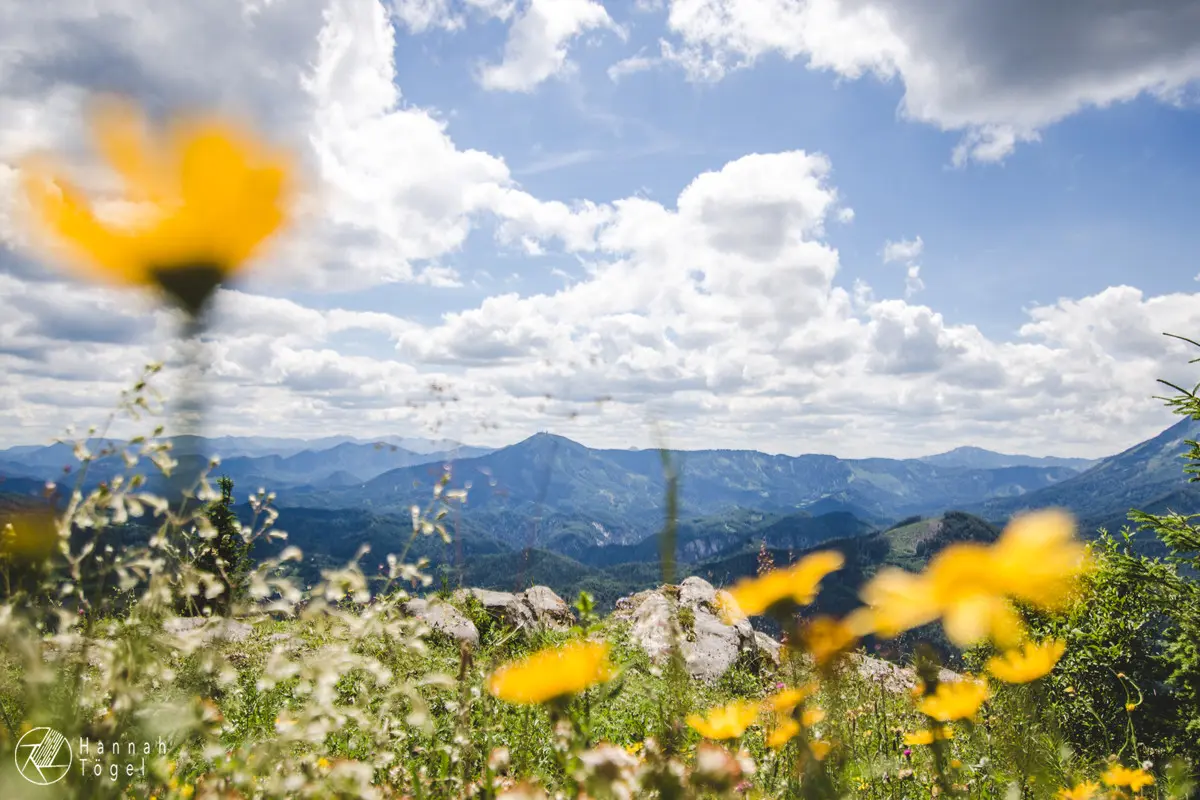 Bild, Hochstadlberg
