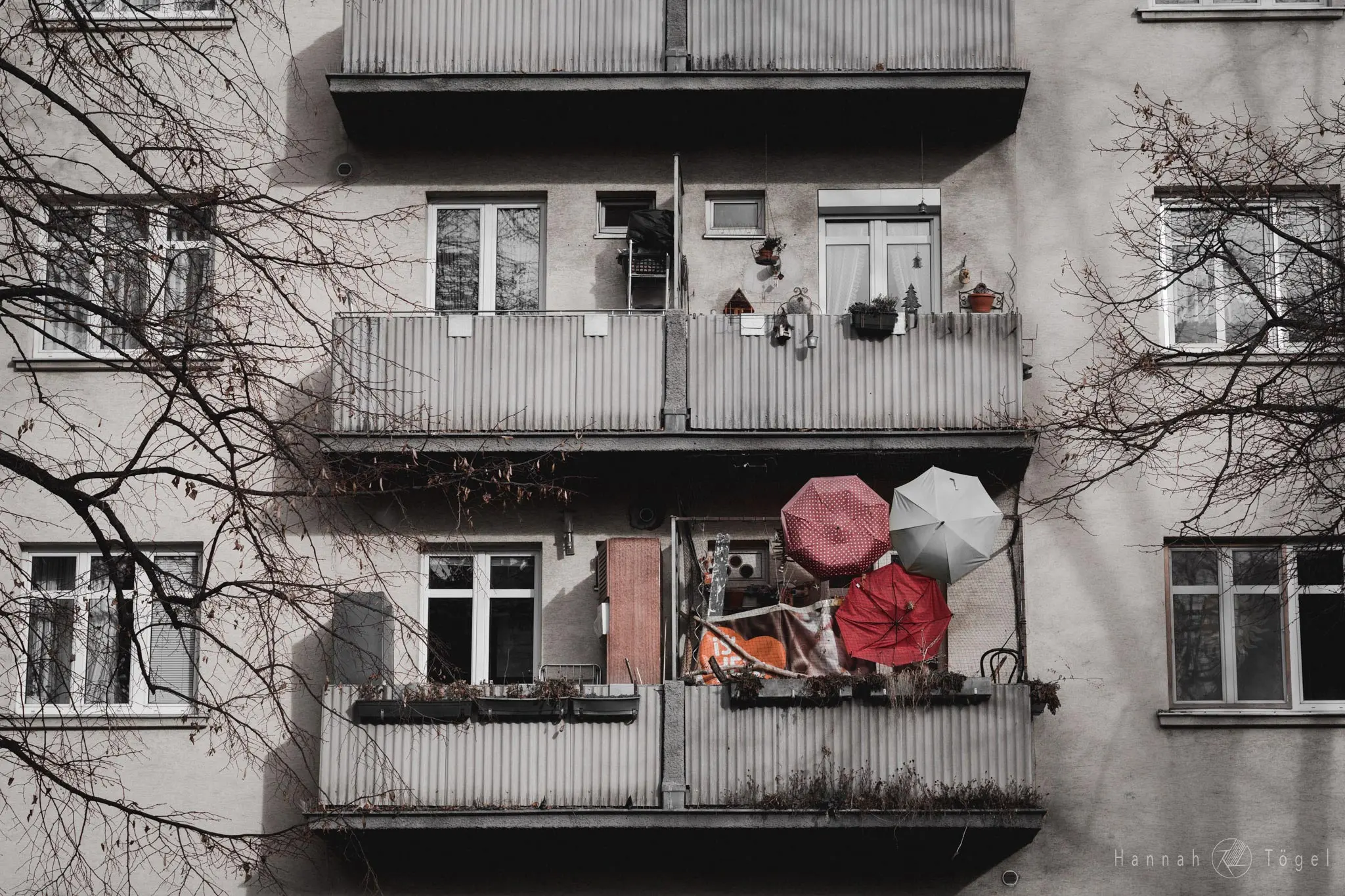 Wien entdecken X Bild, Wien entdecken X