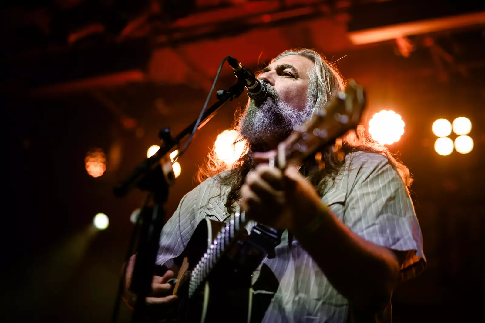 Bild, The White Buffalo