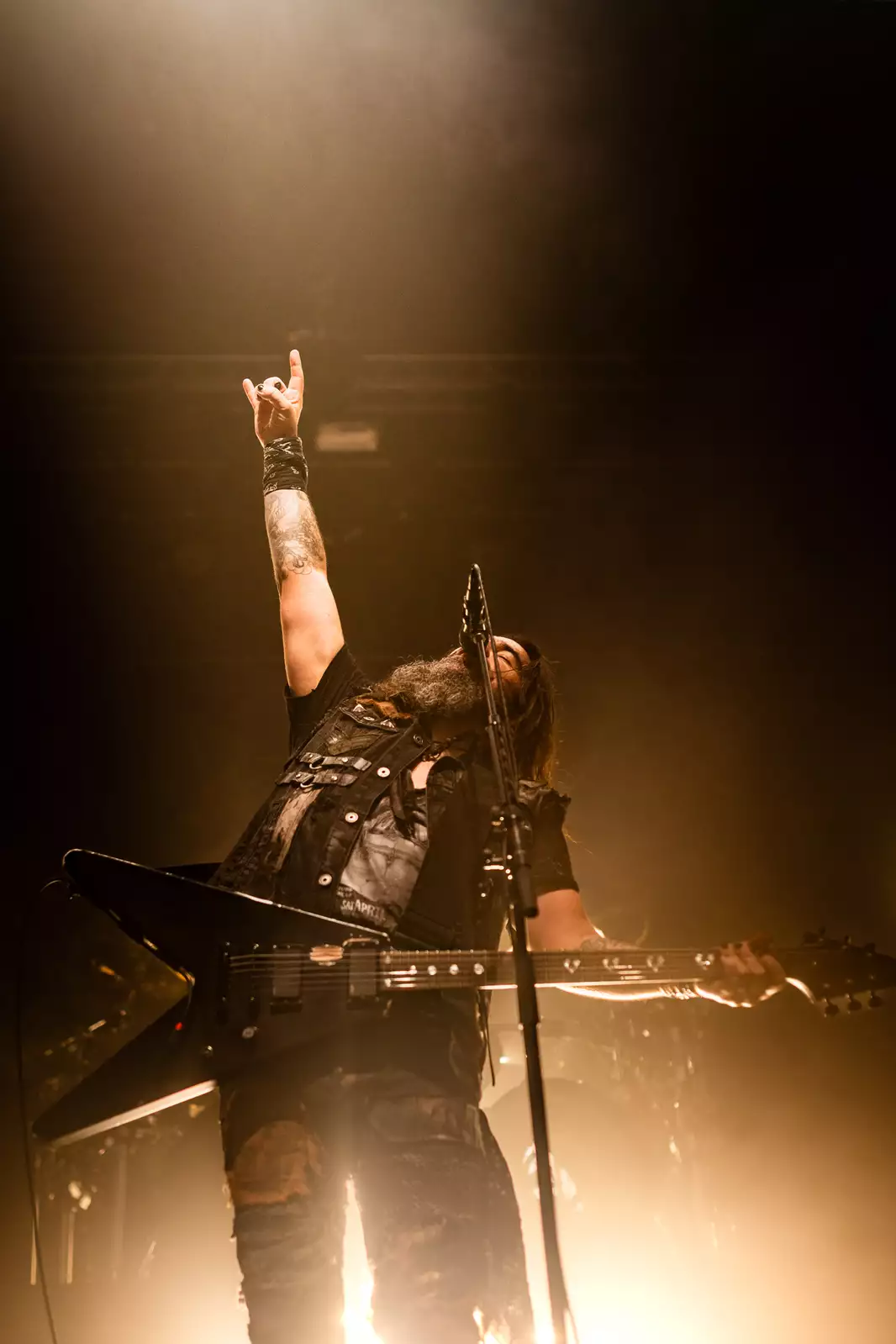 Bild, Machine Head