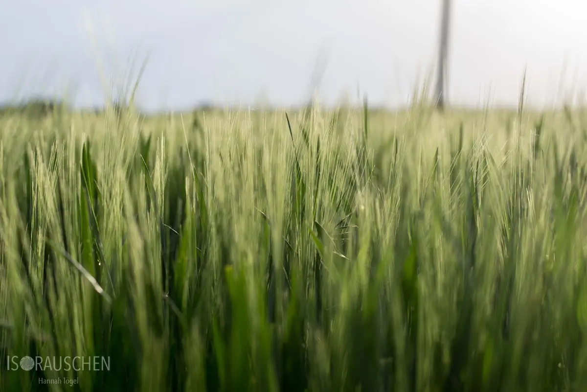 Bild, Amazing Places I