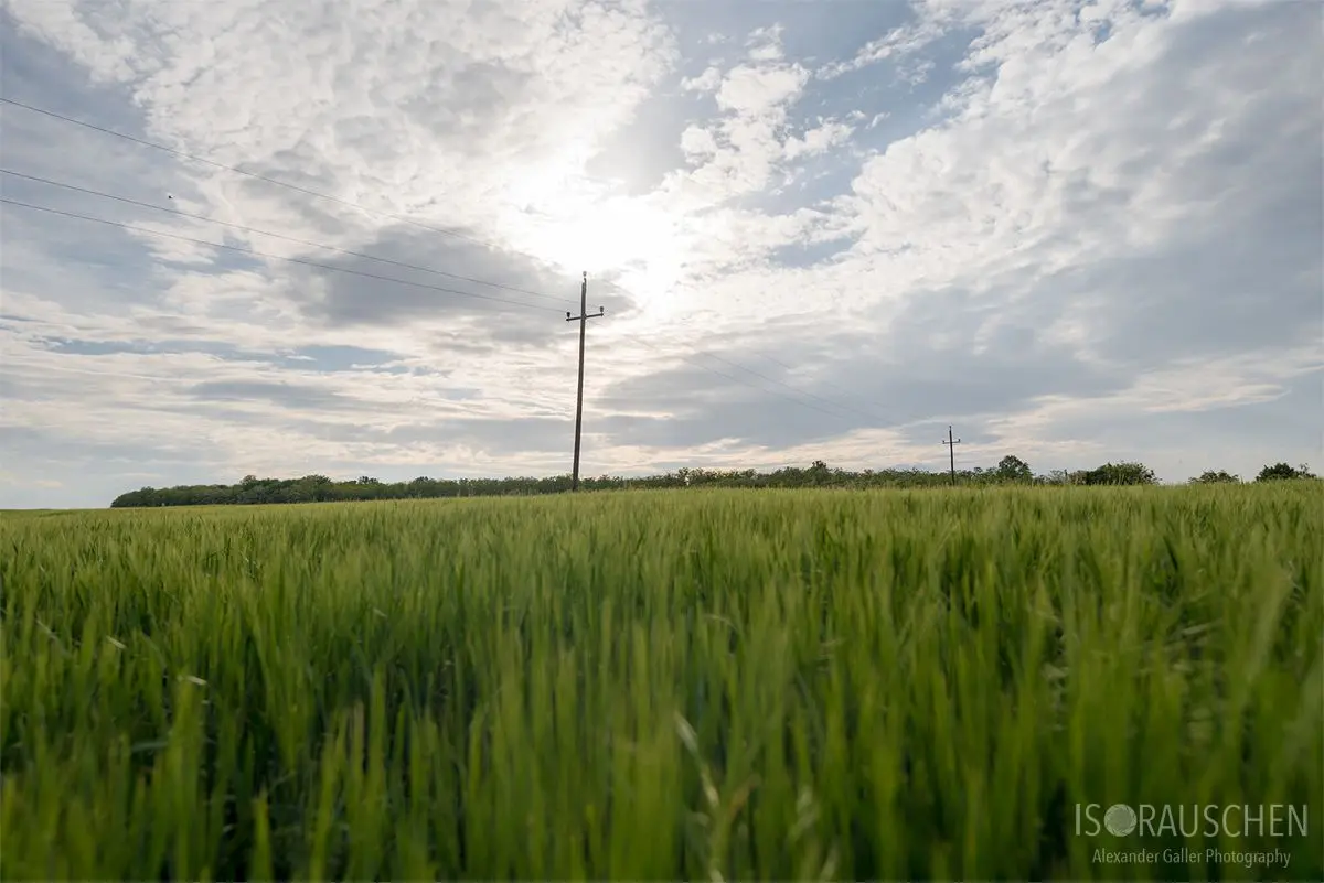 Bild, Amazing Places I