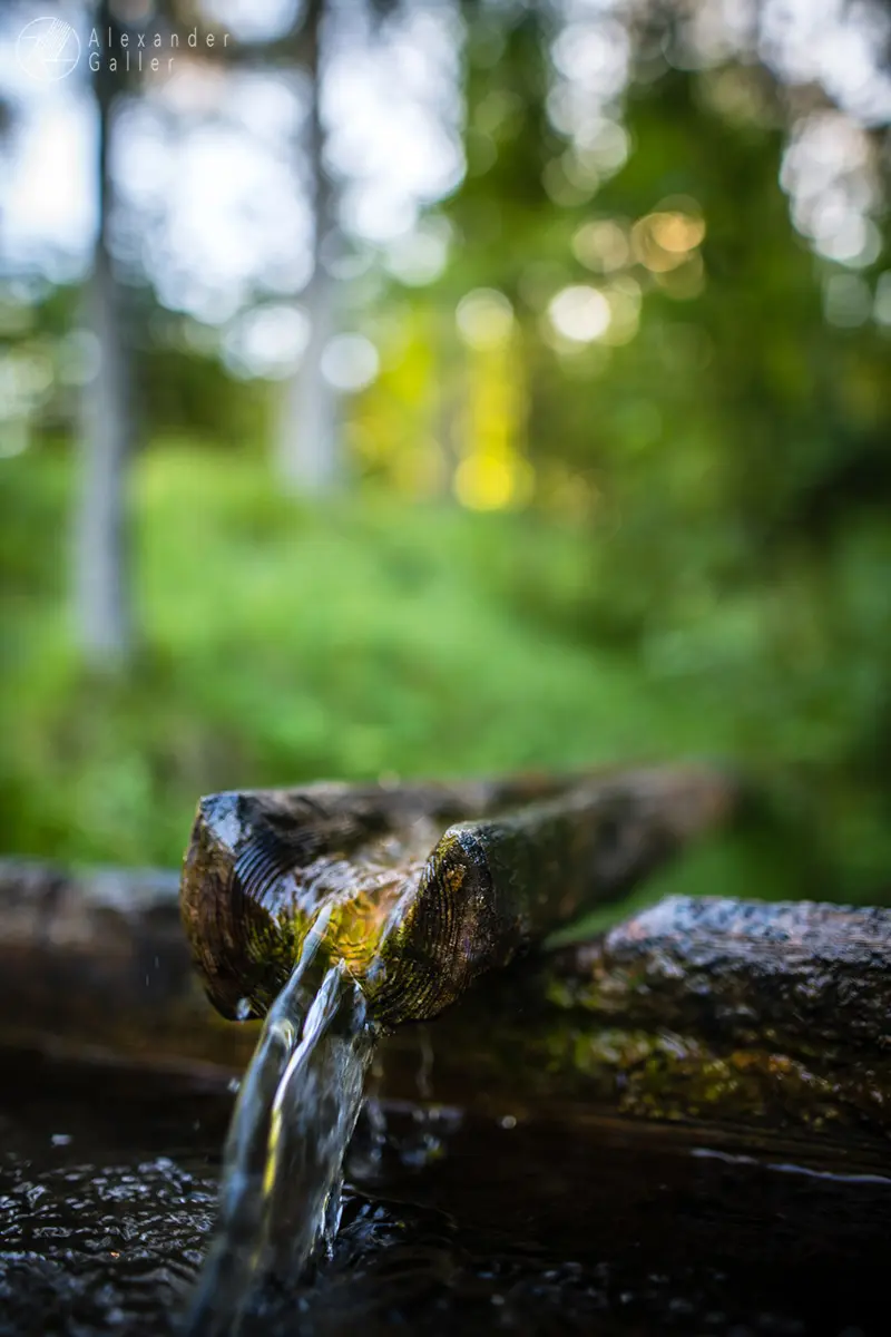 Bild, B&uuml;rgeralpe