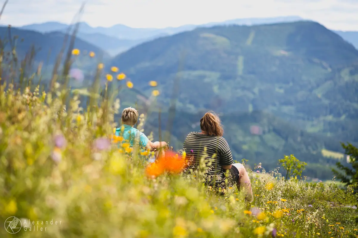 Bild, Hochstadelberg