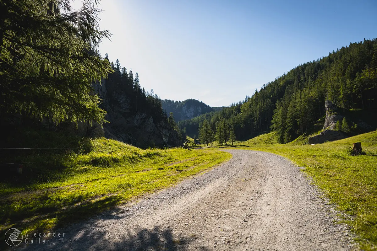 Bild, G&ouml;riacheralm