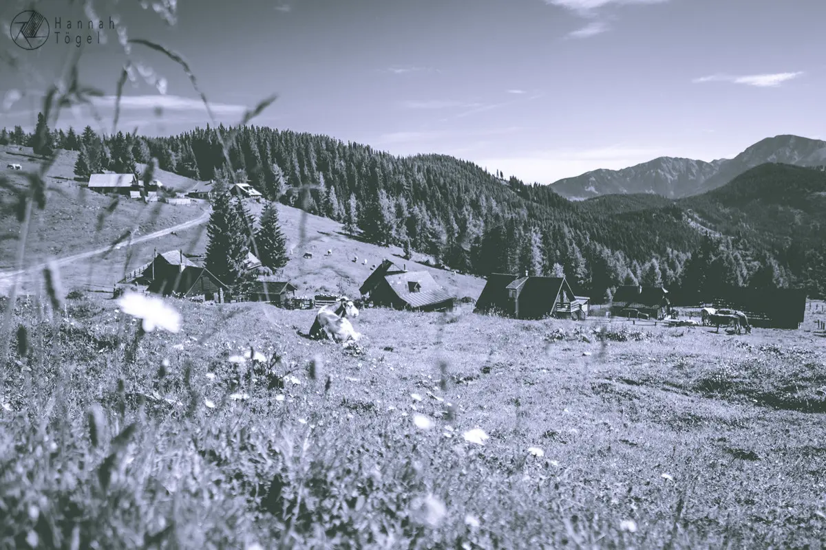 Bild, G&ouml;riacheralpe