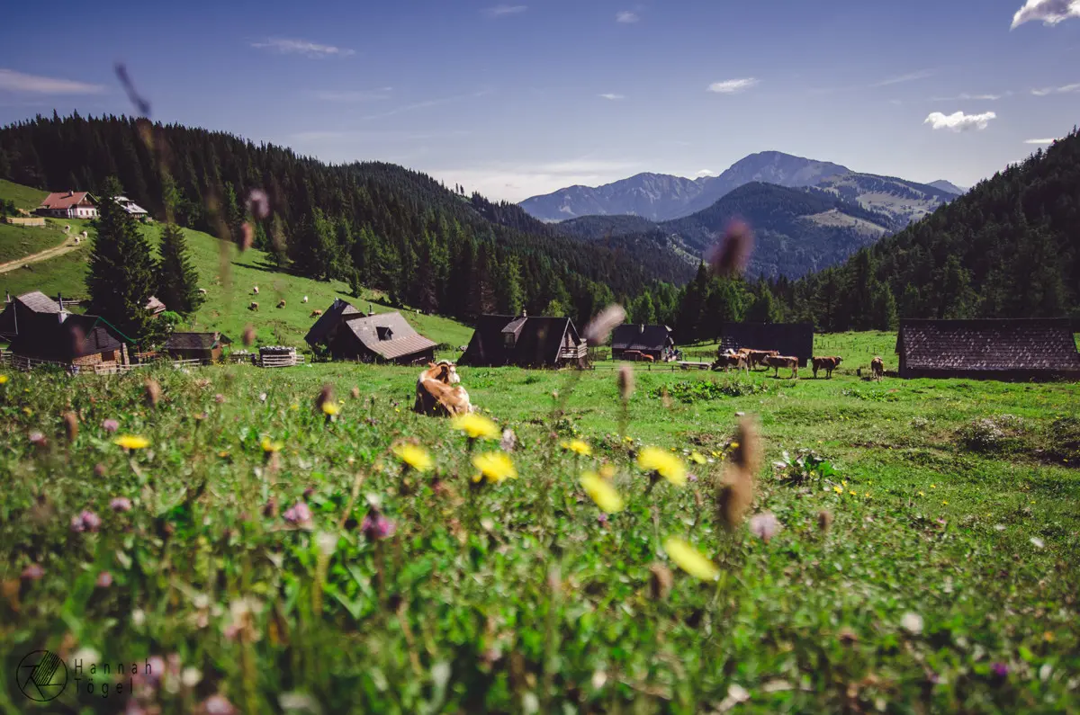 Bild, G&ouml;riacheralpe