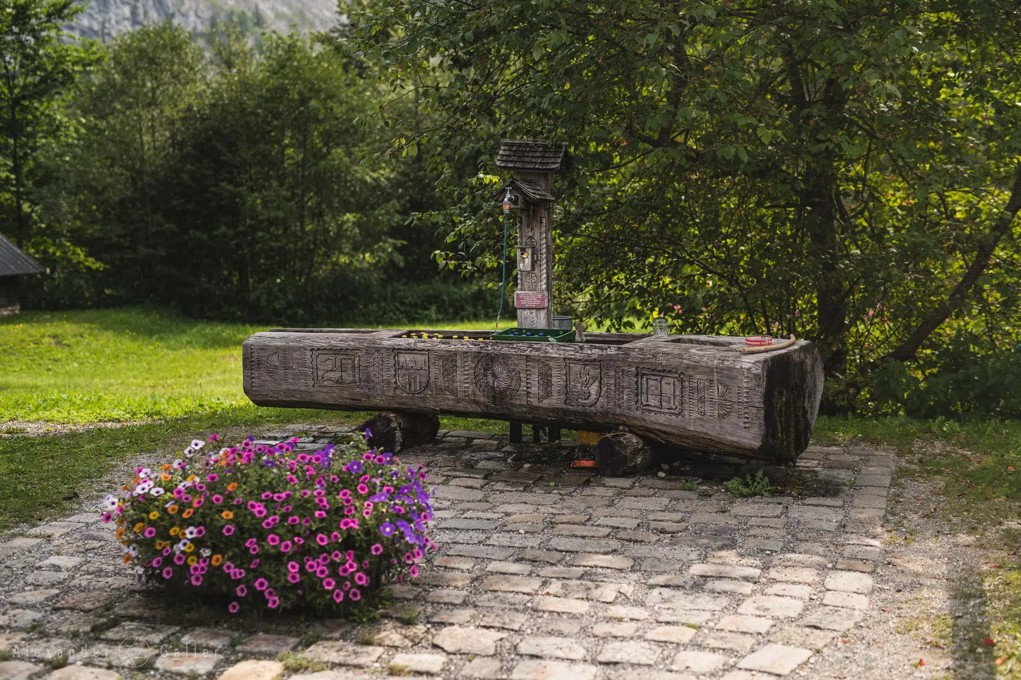 Bild, Amazing Places V