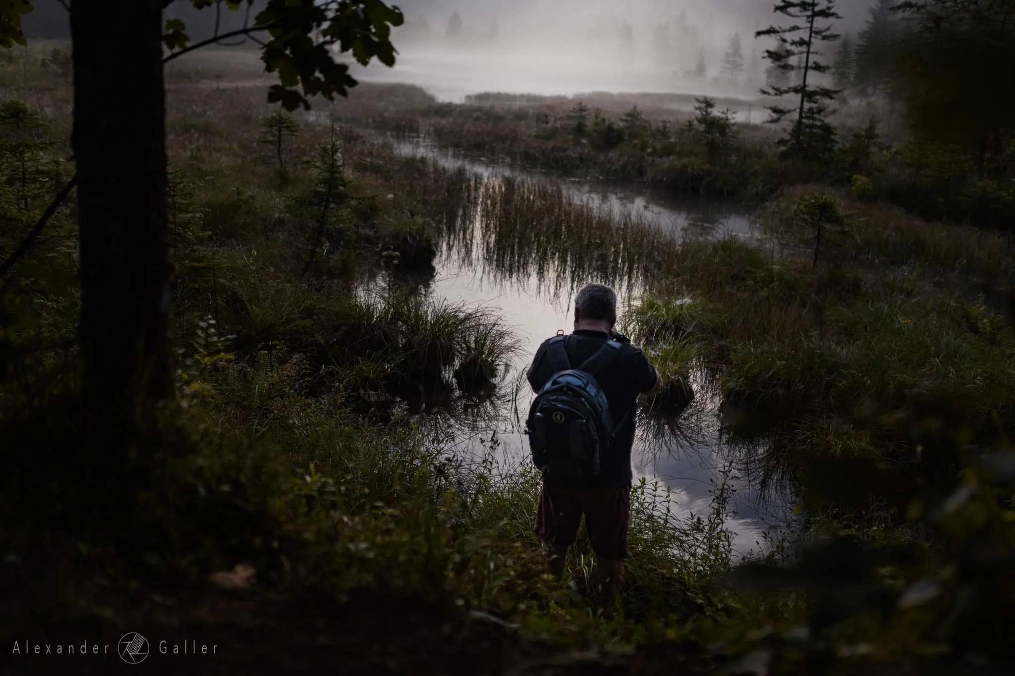 Bild, Amazing Places V