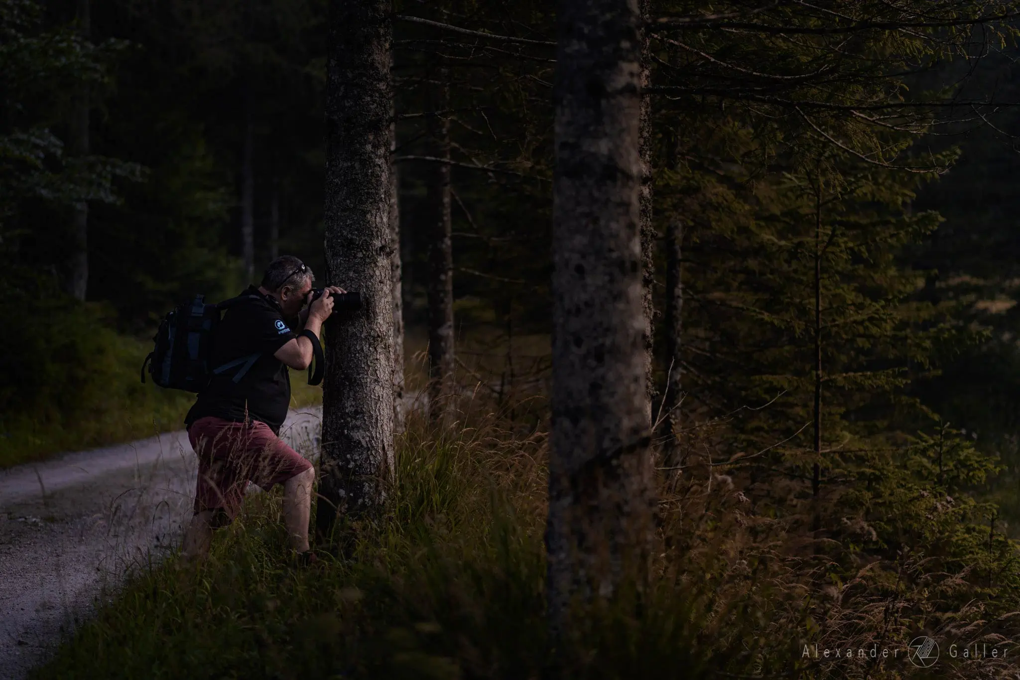 Bild, Amazing Places V