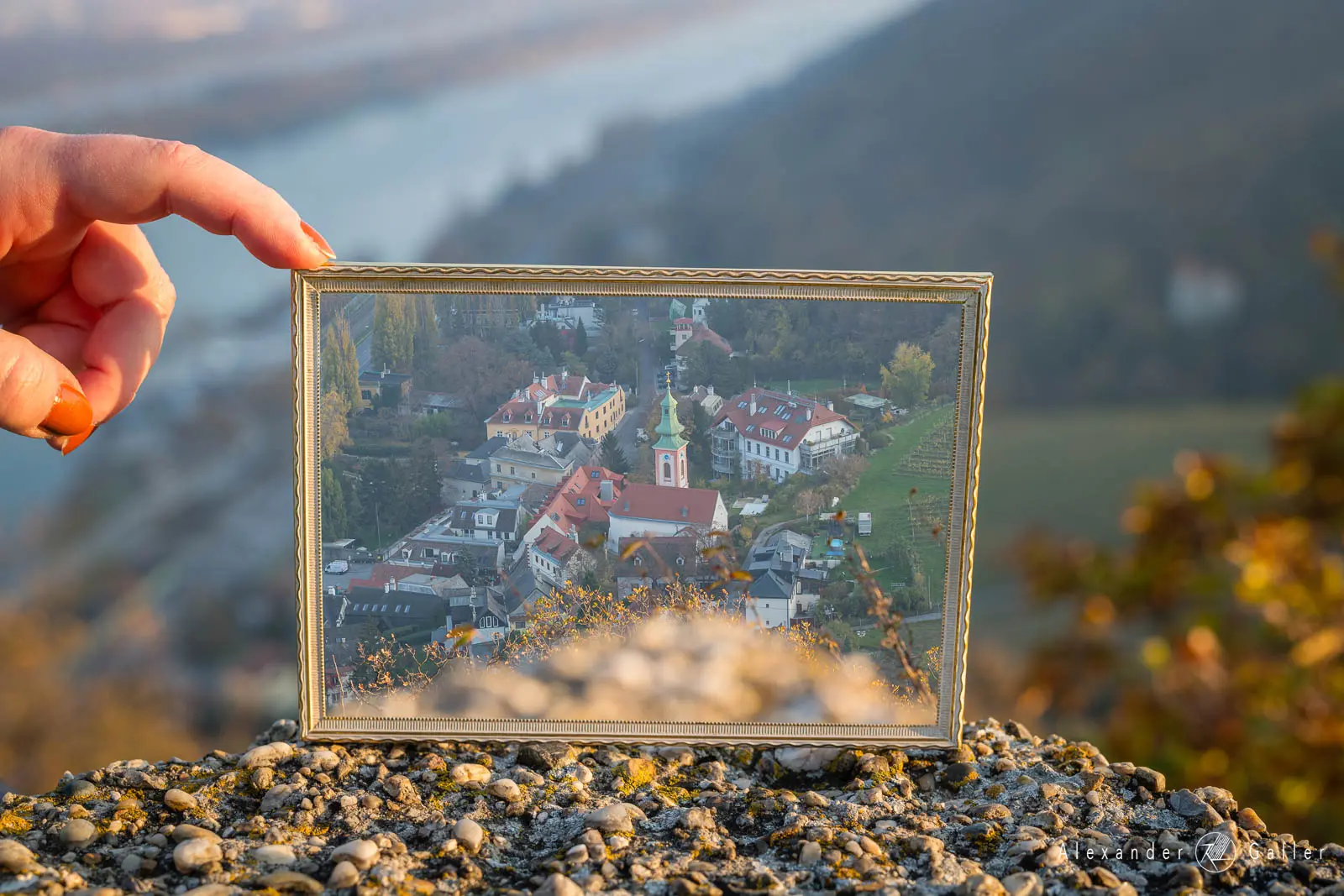 Bild, Kahlenbergerdorf