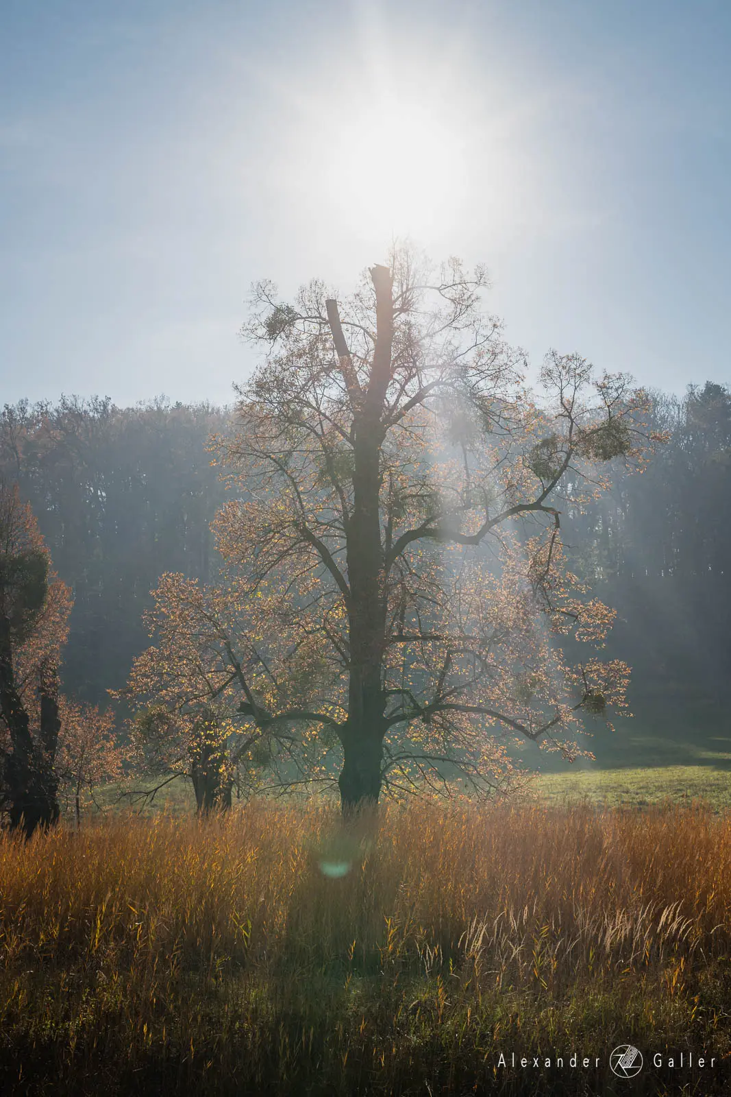 Bild, Amazing Places VII