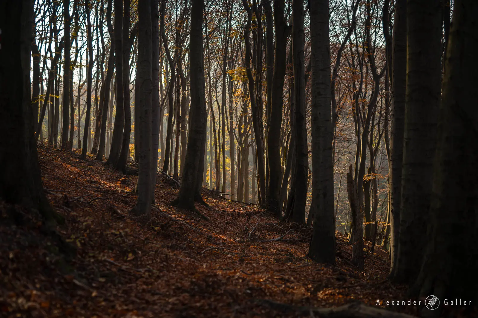 Bild, Amazing Places VII