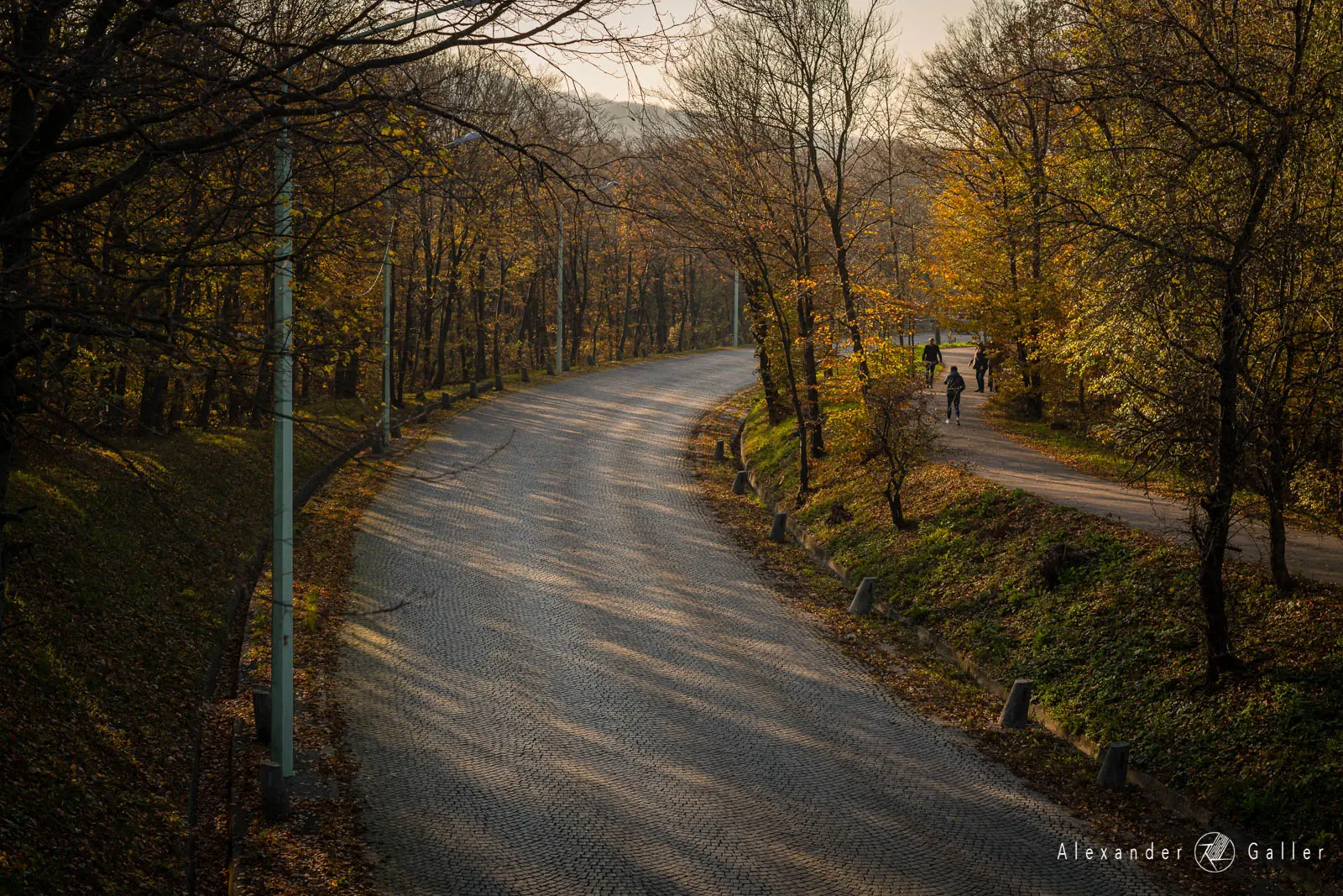 Bild, Amazing Places VII