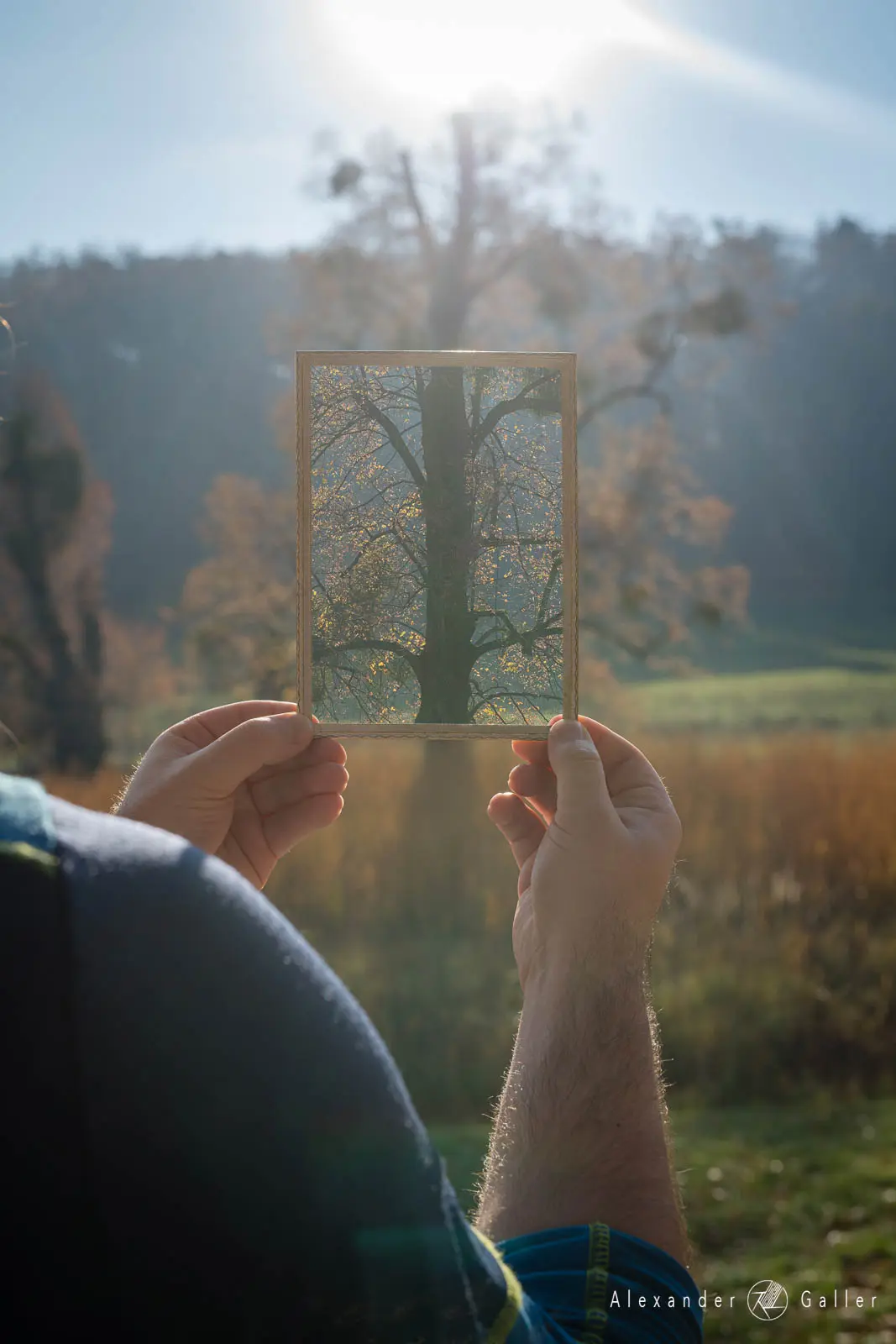 Bild, Pötzleinsdorfer Schlosspark