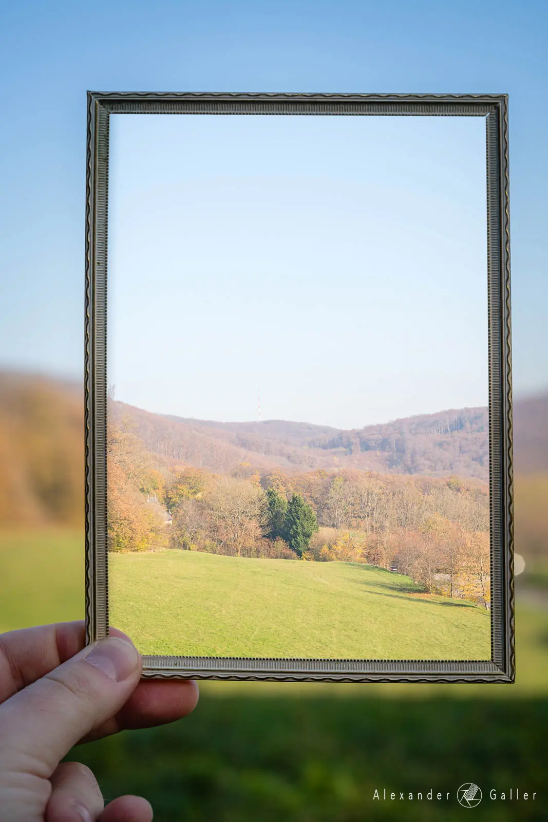 Bild, Blick Richtung Kahlenberg