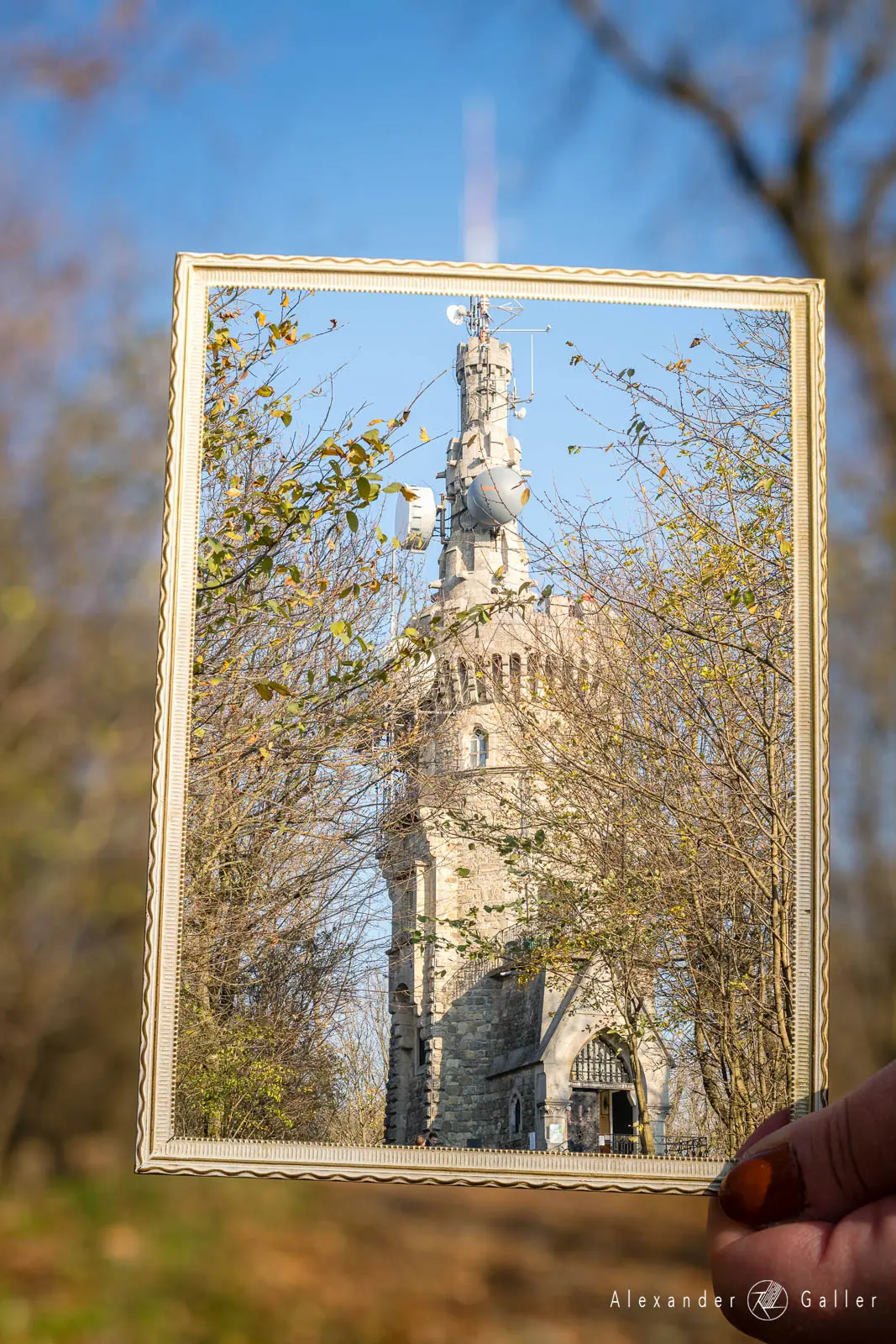 Bild, Habsburgwarte am Hermannskogel