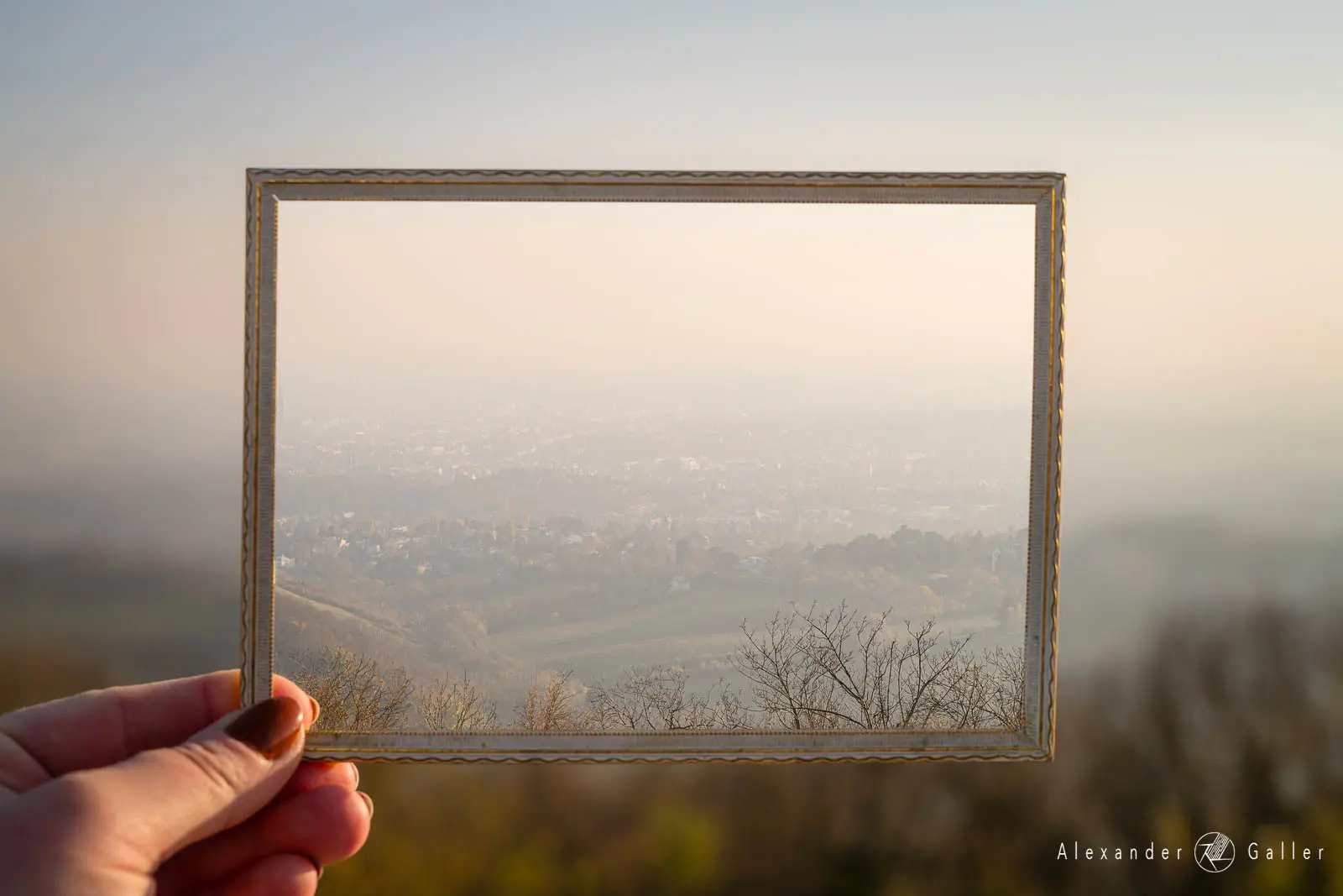 Bild, Blick vom Kahlenberg