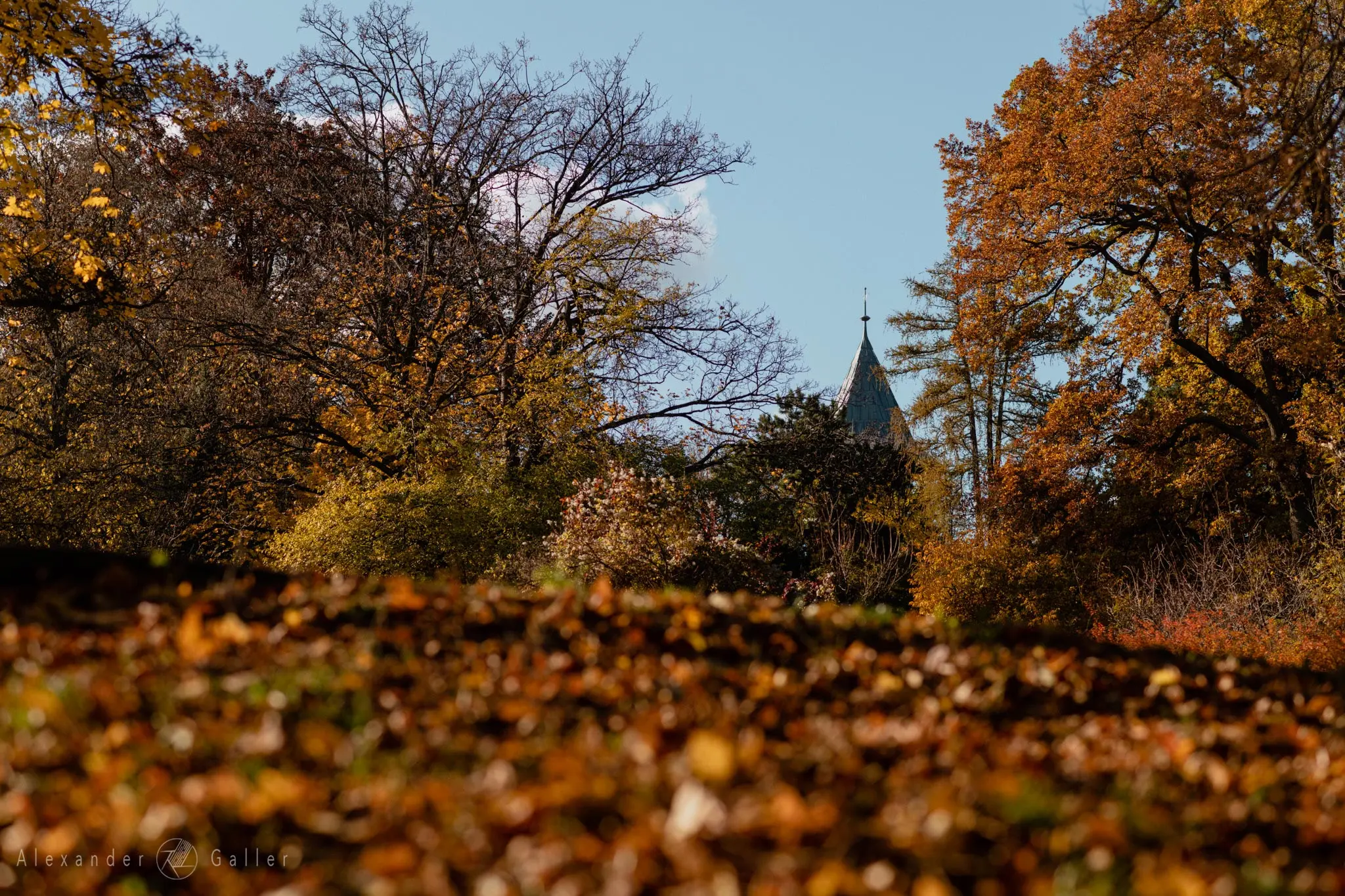 Bild, Colors - Farbenfroher Herbst