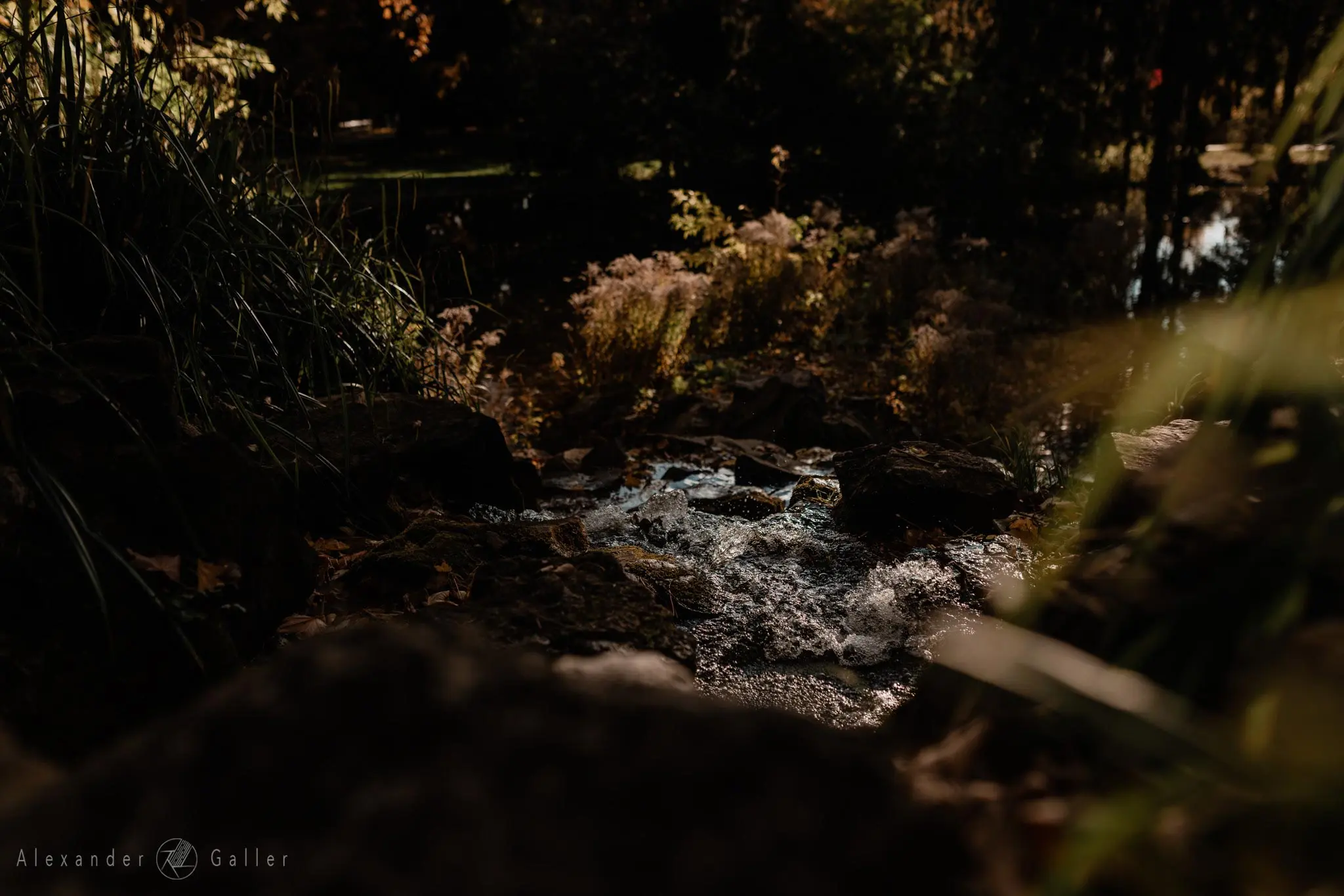 Bild, Colors - Farbenfroher Herbst