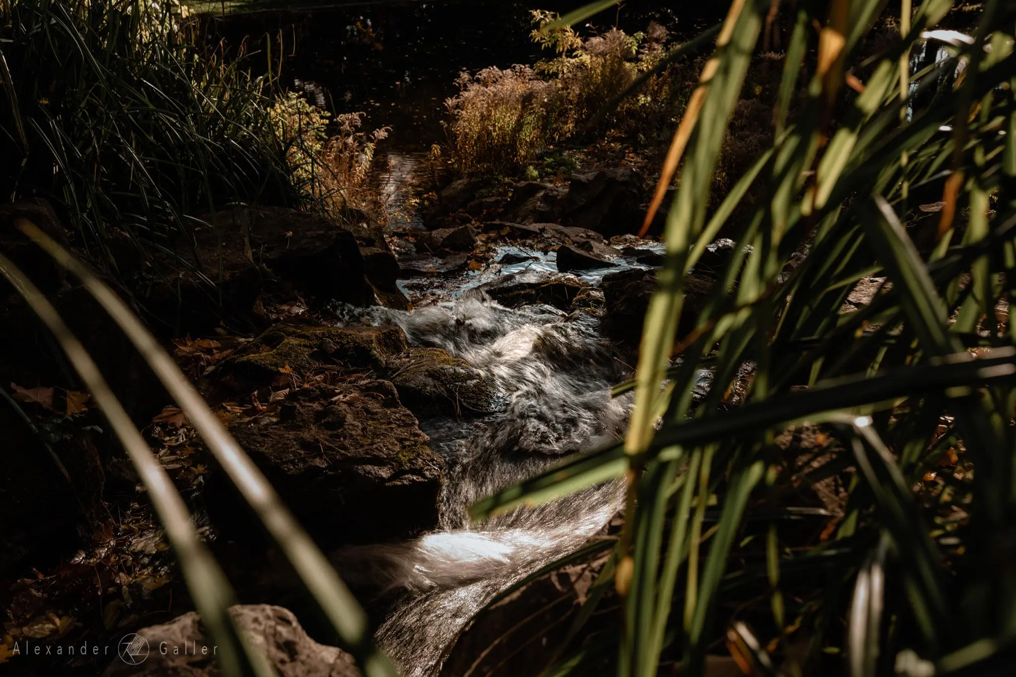 Bild, Colors - Farbenfroher Herbst