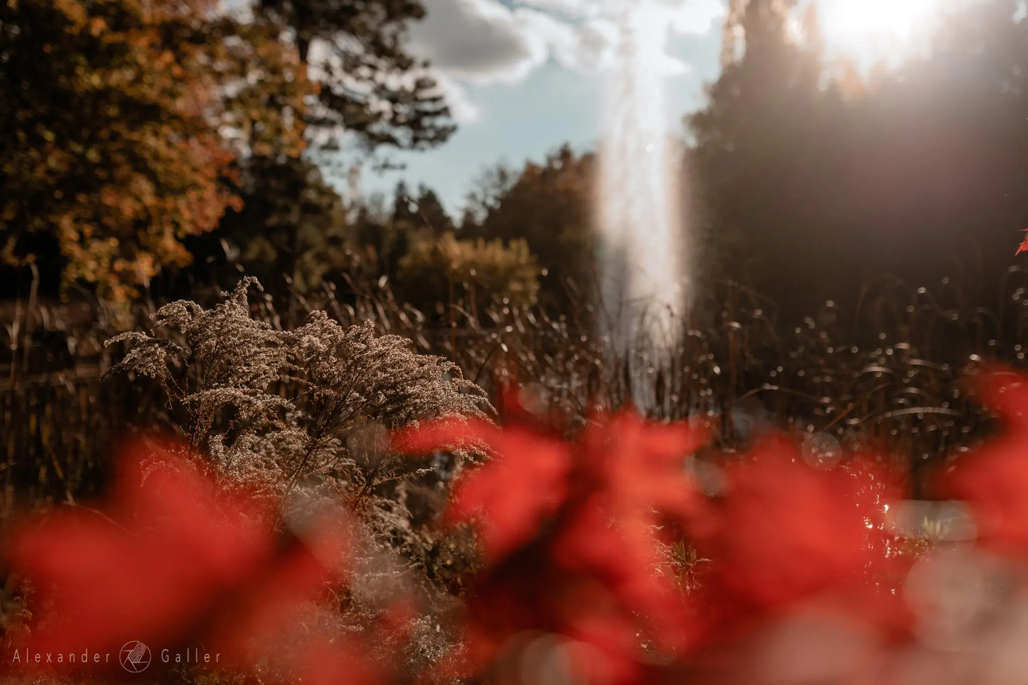 Bild, Colors - Farbenfroher Herbst