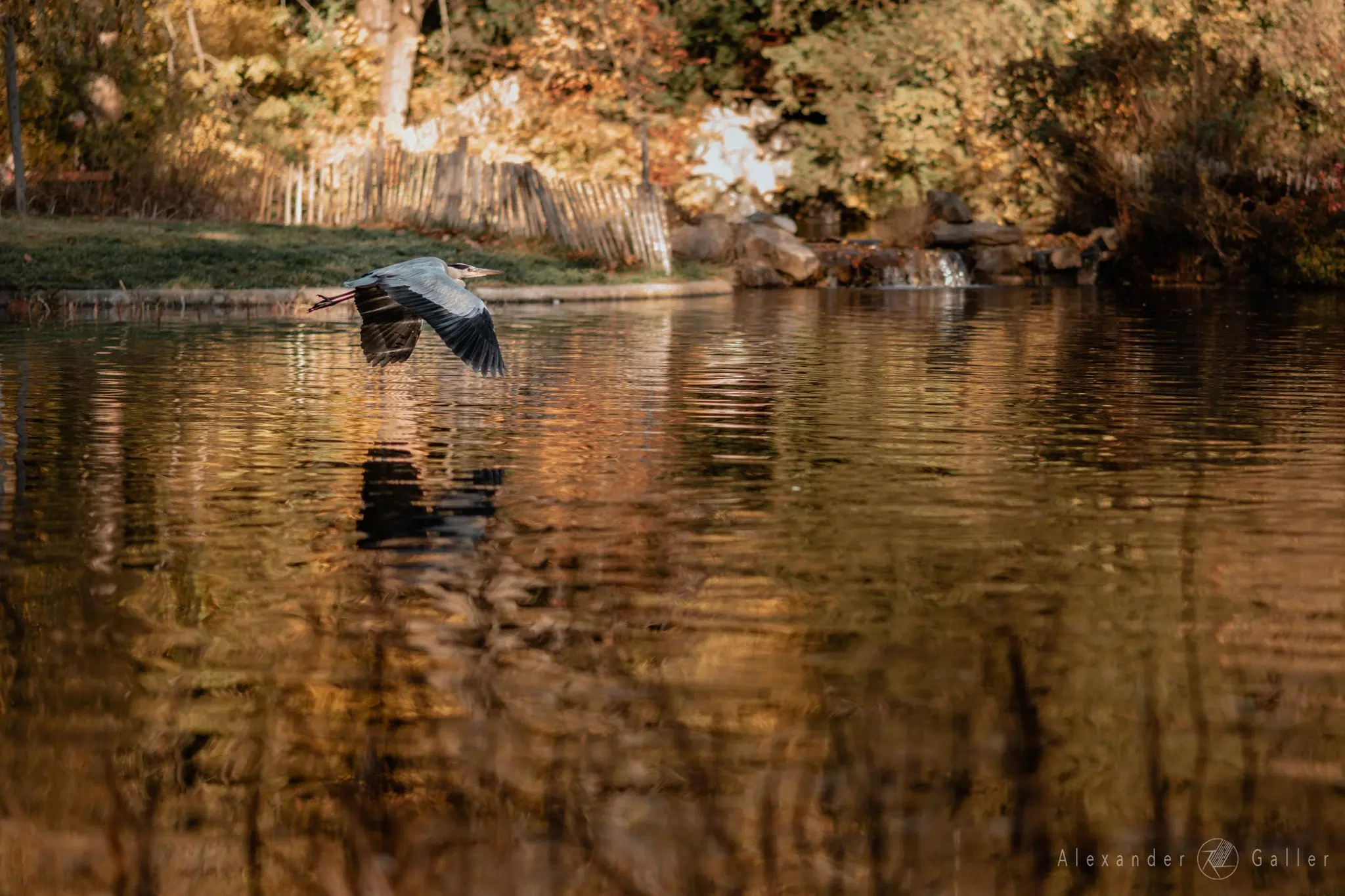 Bild, Colors - Farbenfroher Herbst