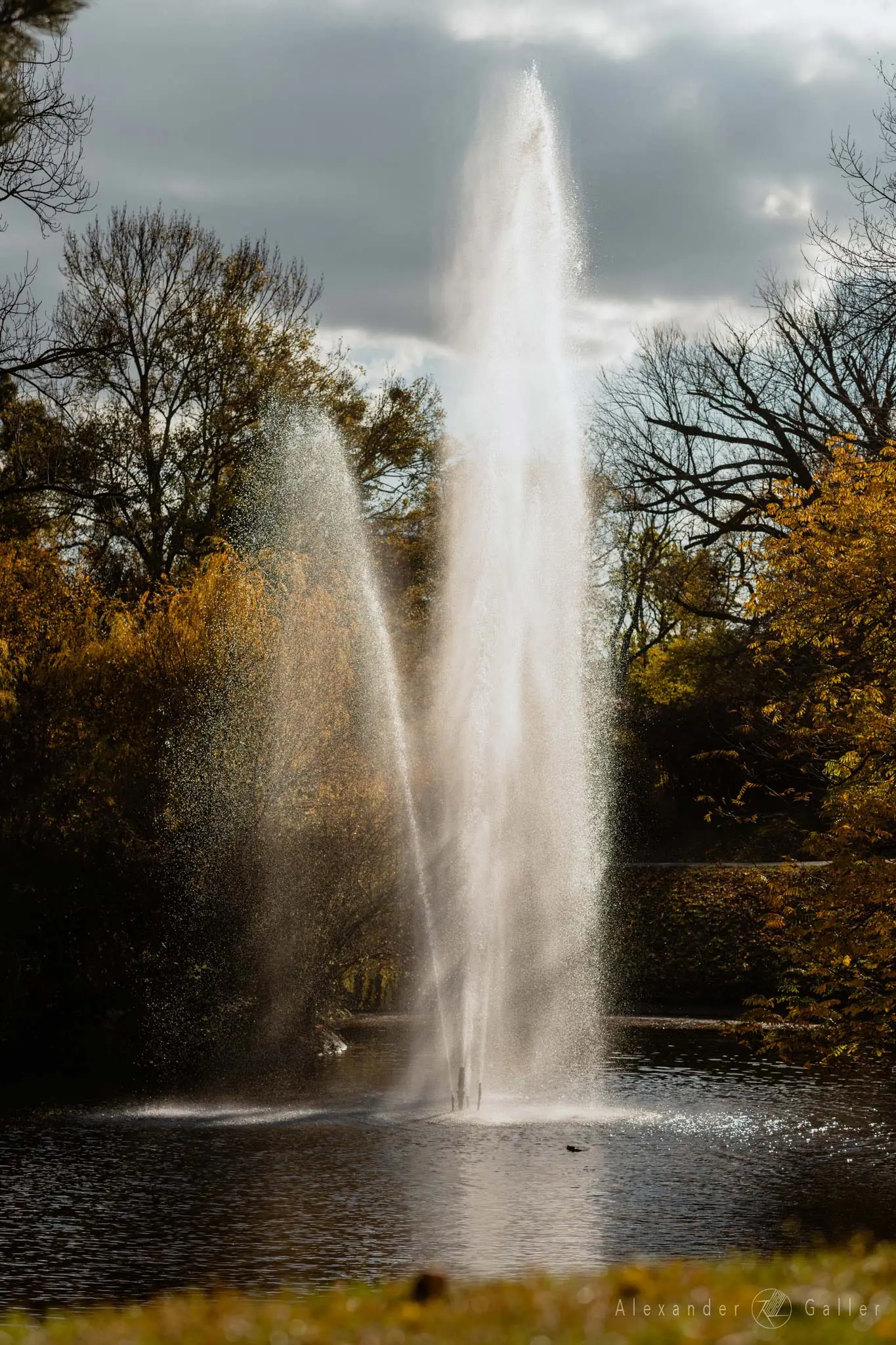 Bild, Colors - Farbenfroher Herbst