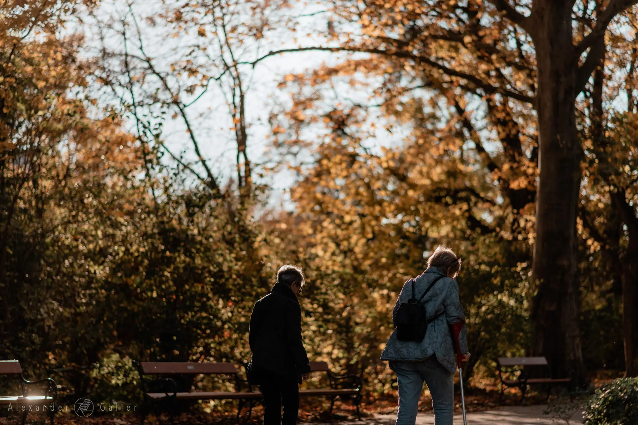 Bild, Colors - Farbenfroher Herbst