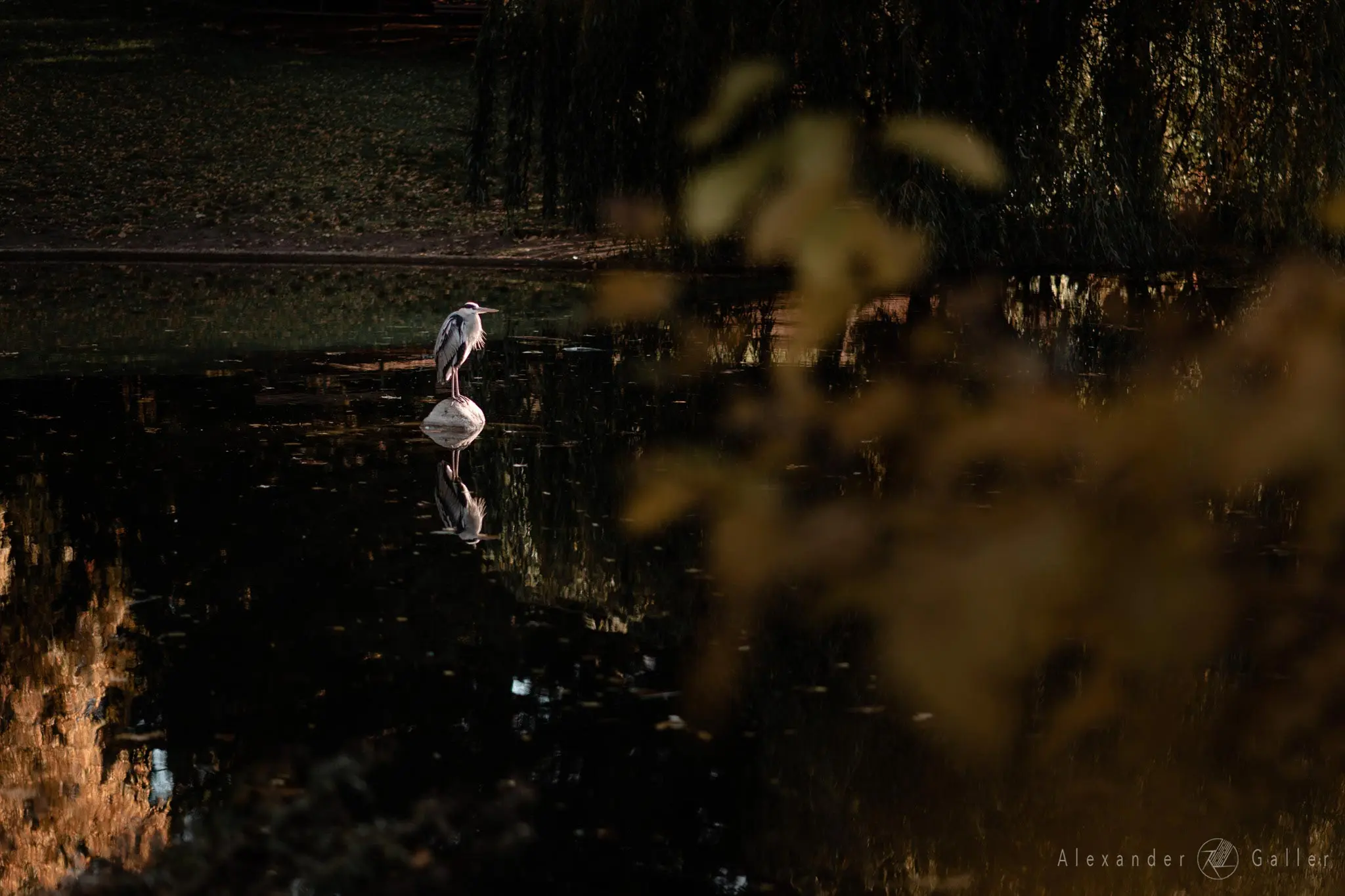 Bild, Colors - Farbenfroher Herbst