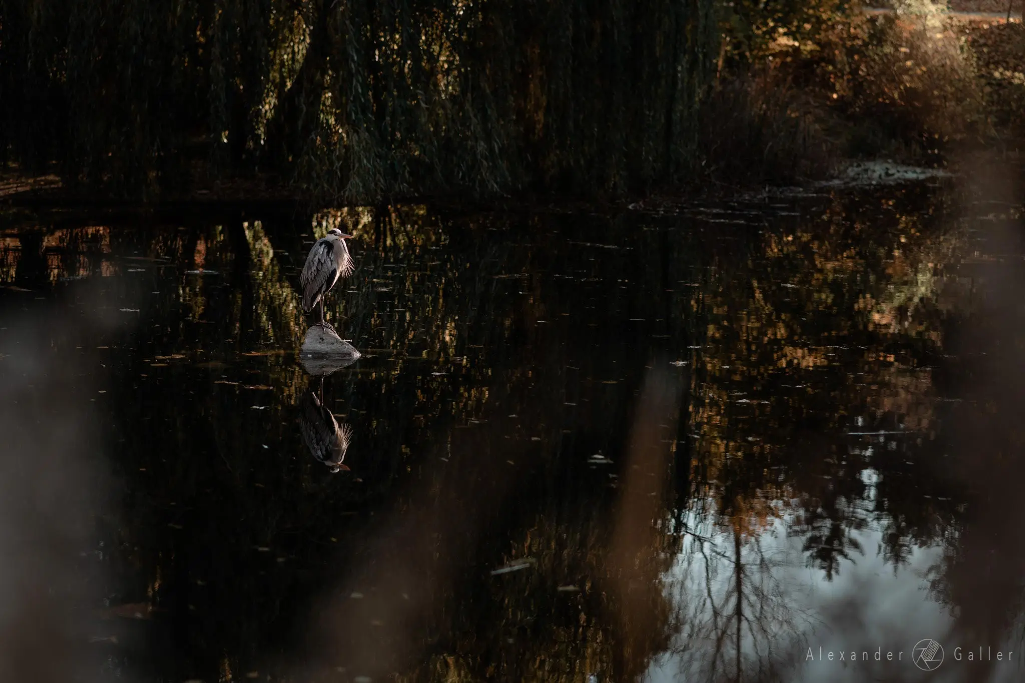 Bild, Colors - Farbenfroher Herbst