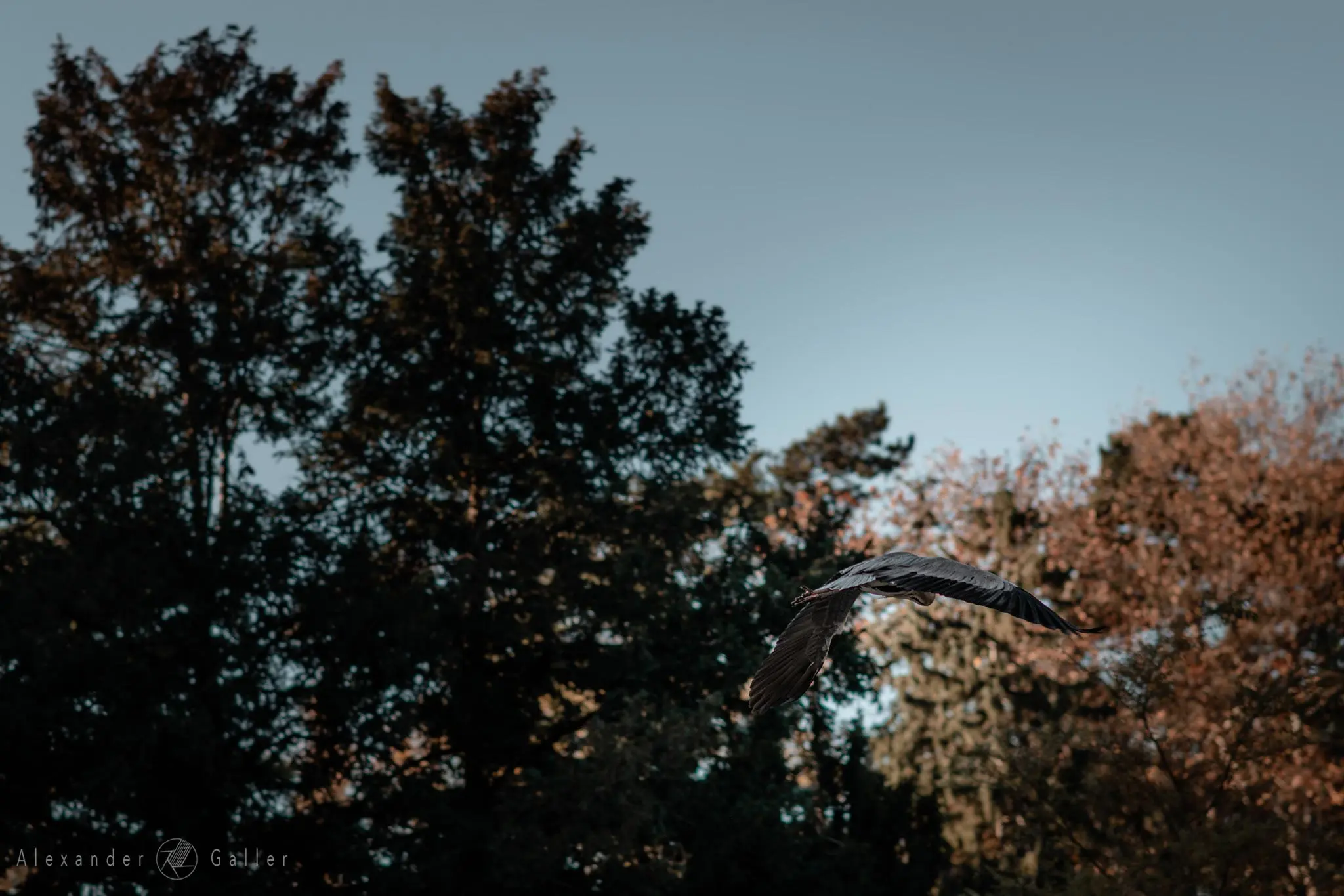 Bild, Colors - Farbenfroher Herbst