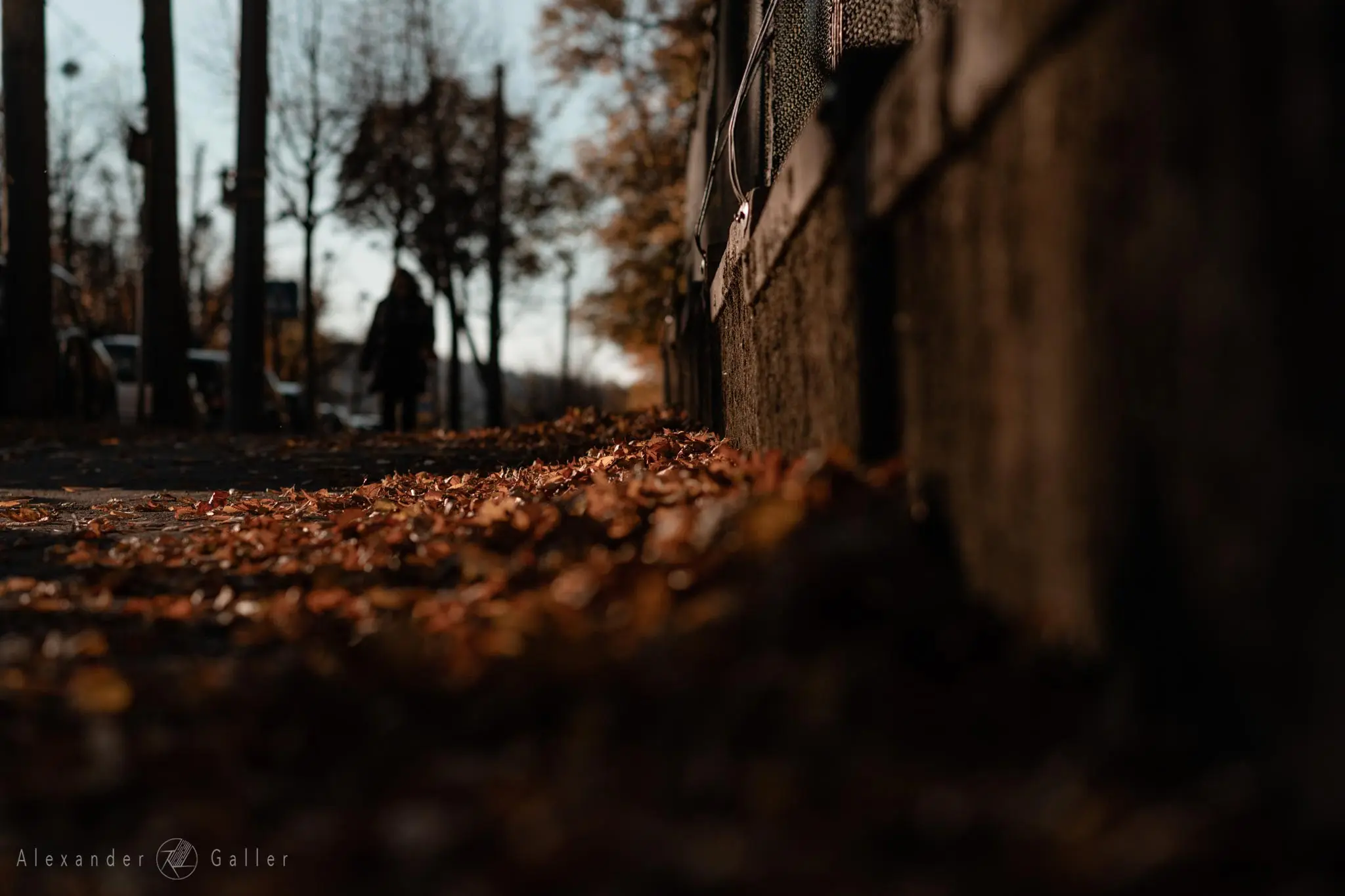 Bild, Colors - Farbenfroher Herbst