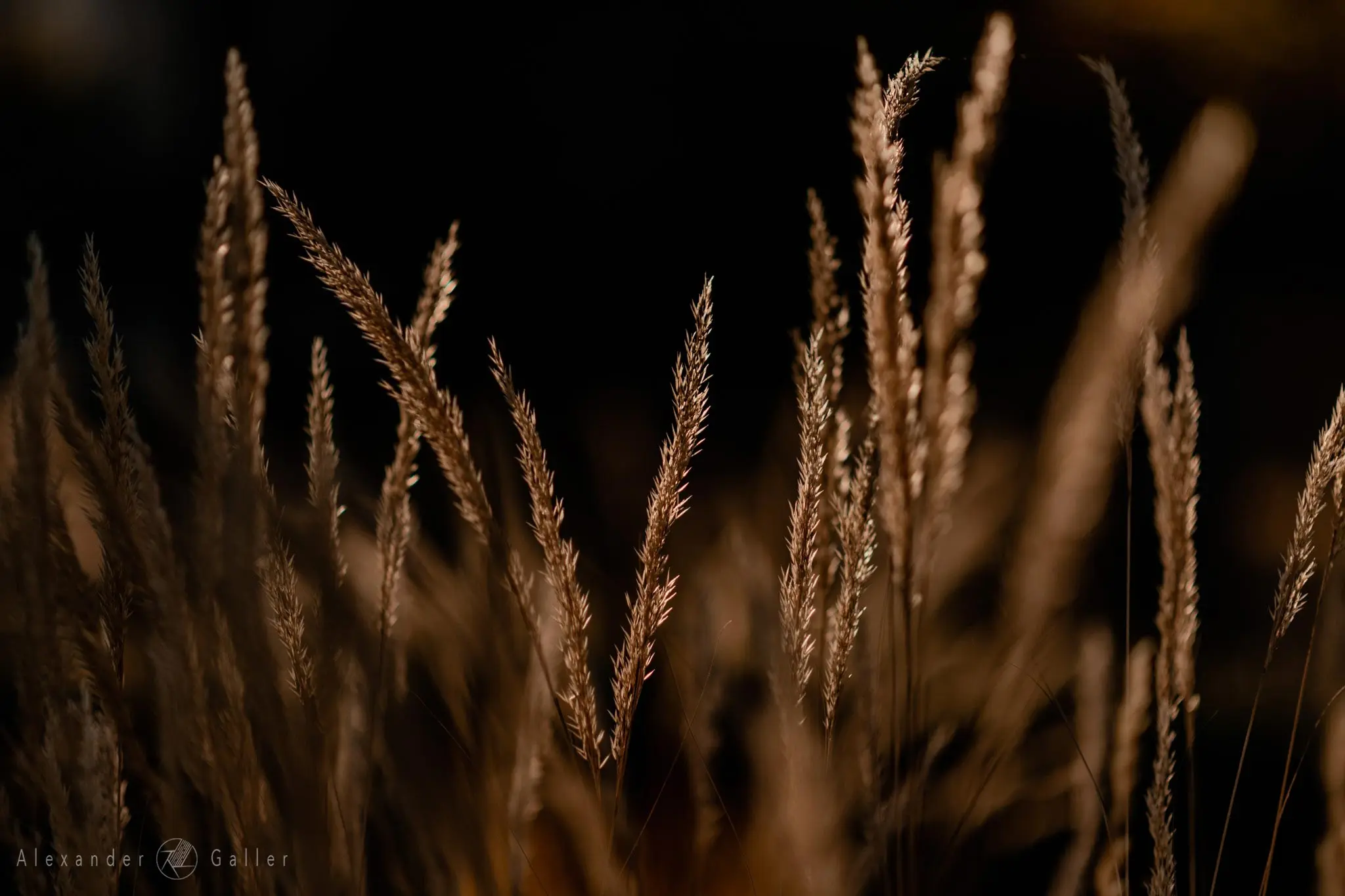 Bild, Colors - Farbenfroher Herbst