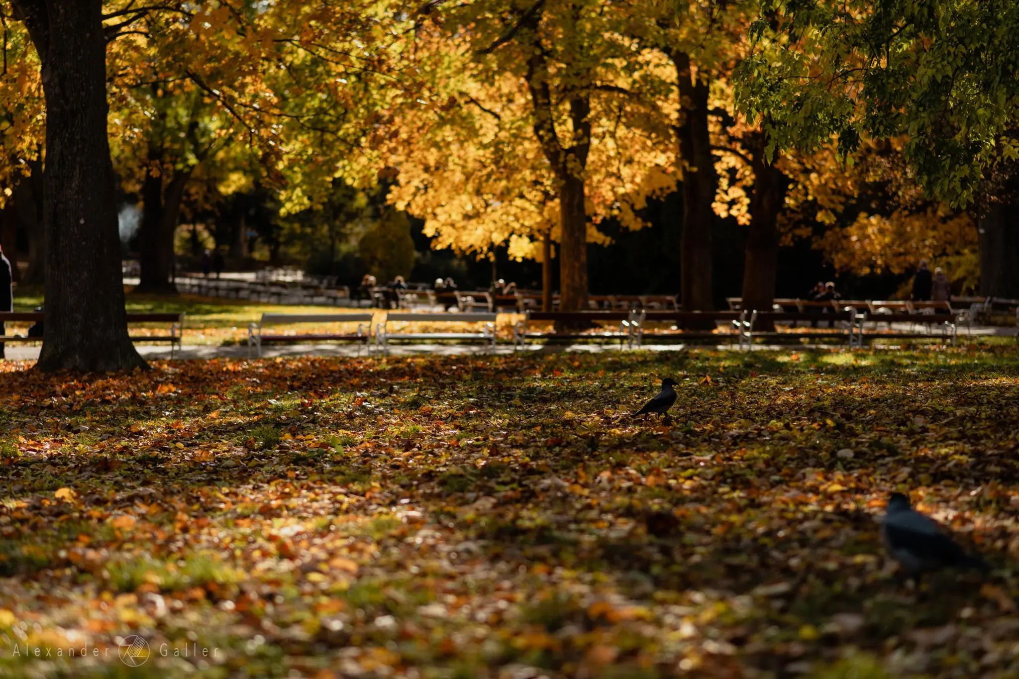 Bild, Colors - Farbenfroher Herbst