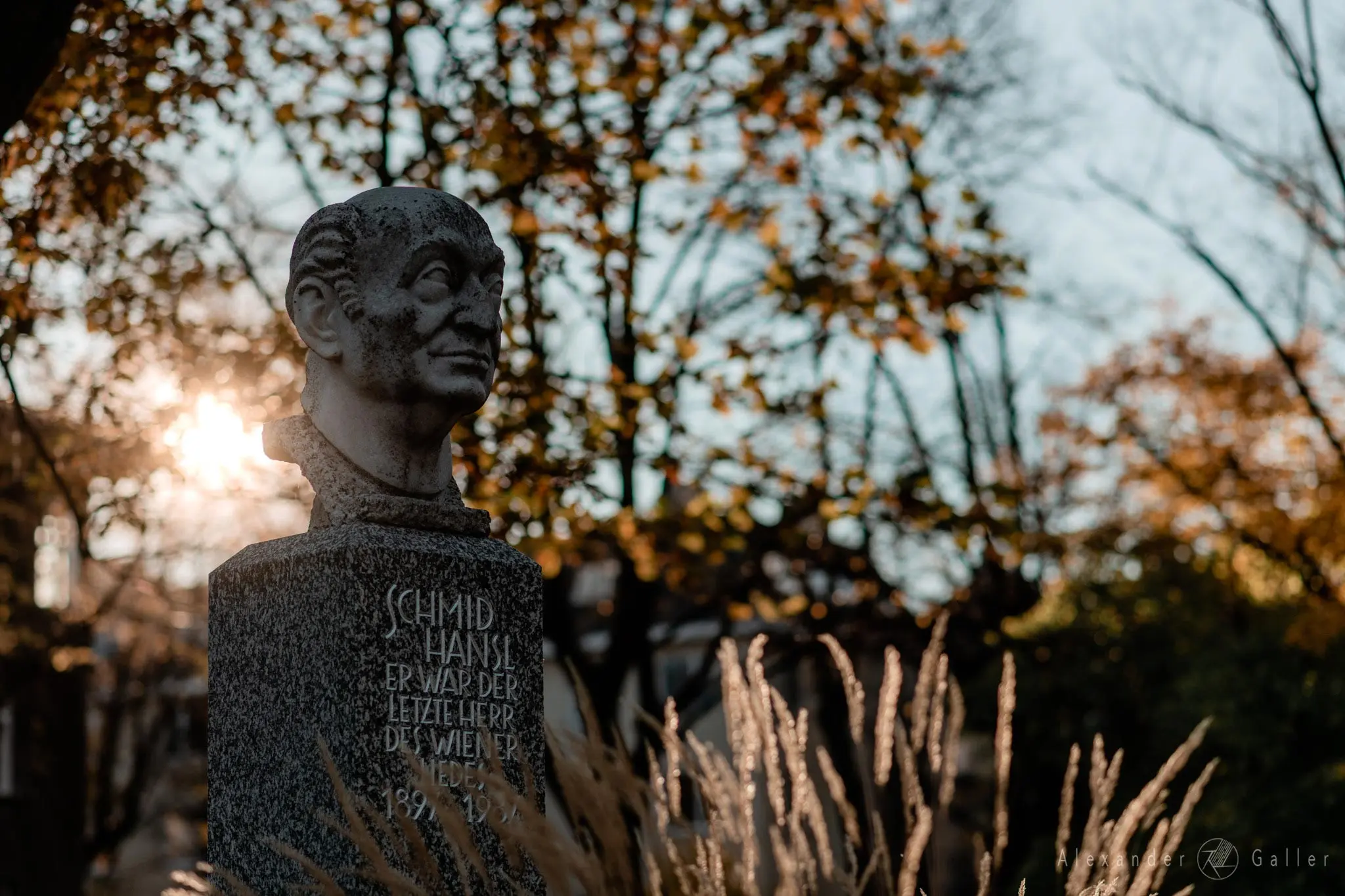 Bild, Colors - Farbenfroher Herbst