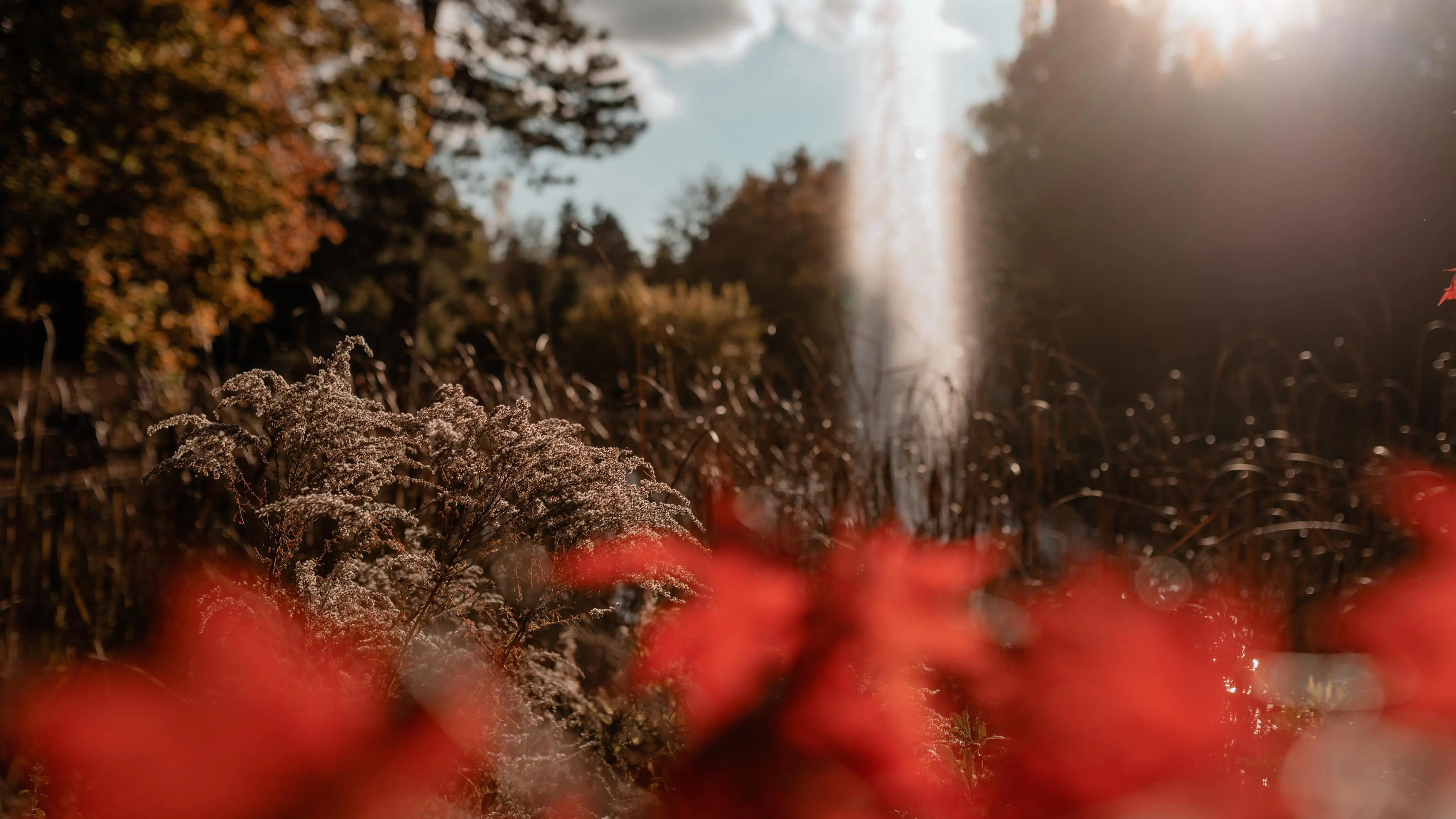 Bild, Colors - Farbenfroher Herbst