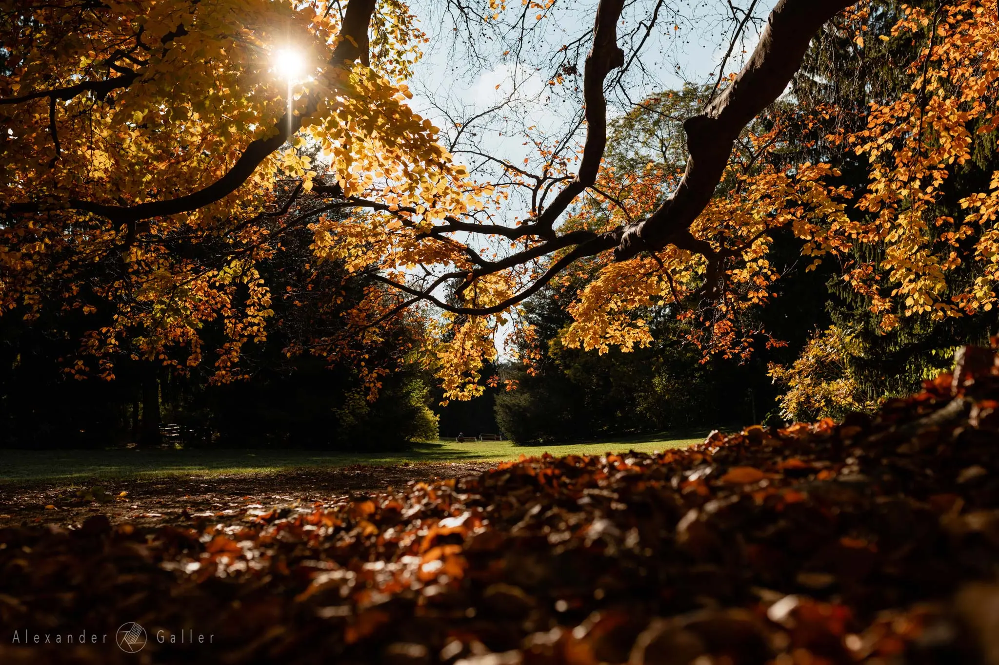 Bild, Colors - Farbenfroher Herbst