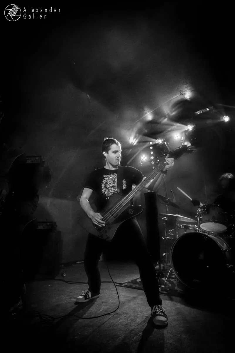 Bild, Fallen Up at Weberknecht - Interview, Reportage, Live